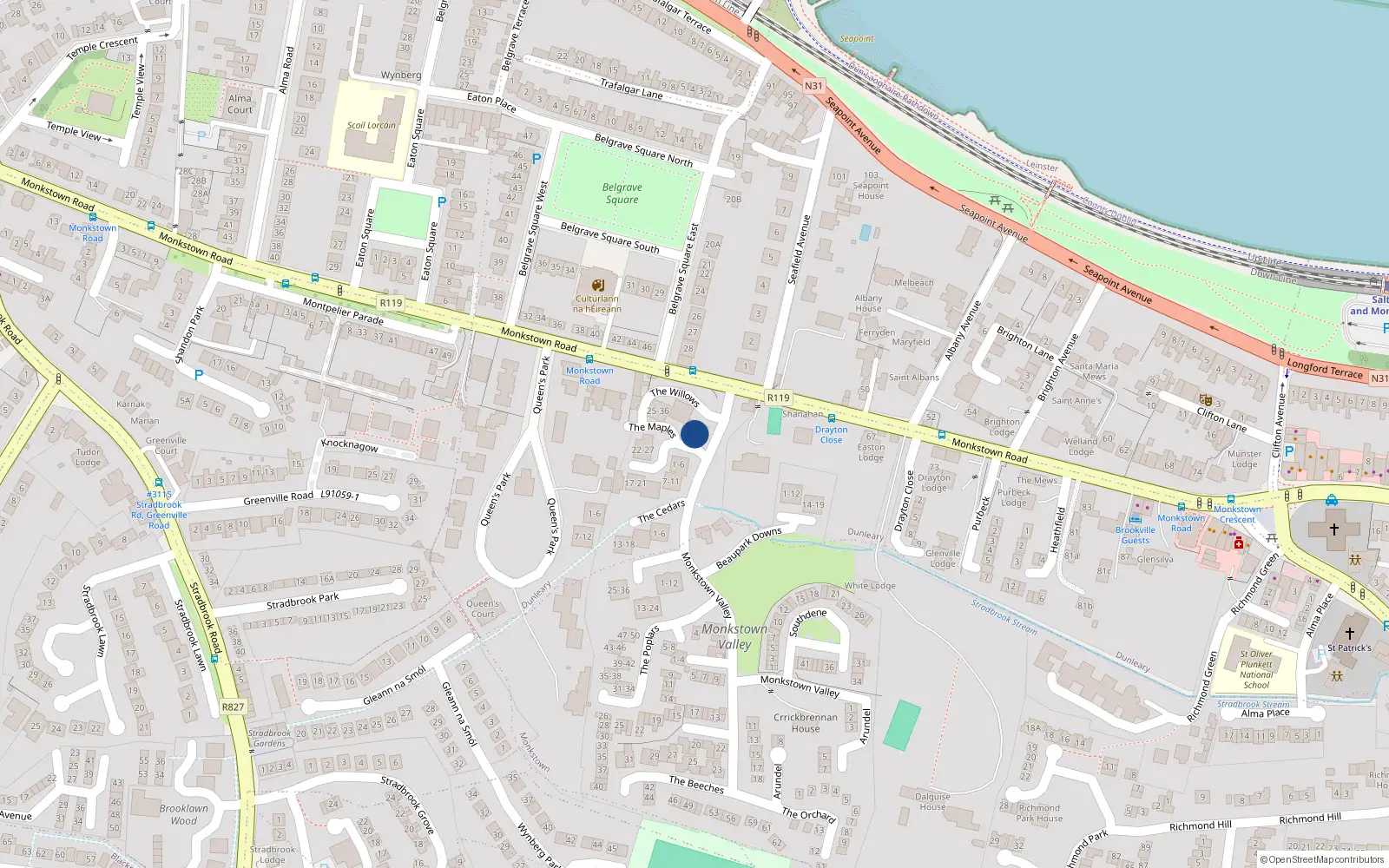 Overhead map showing the location of 25 the Willows, Monkstown Valley, Monkstown