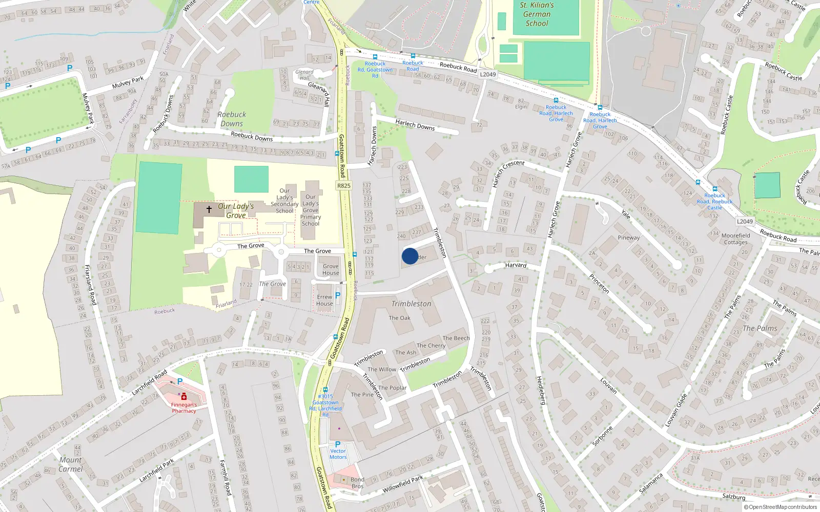 Overhead map showing the location of 253 the Alder, Goatstown Road, Dublin