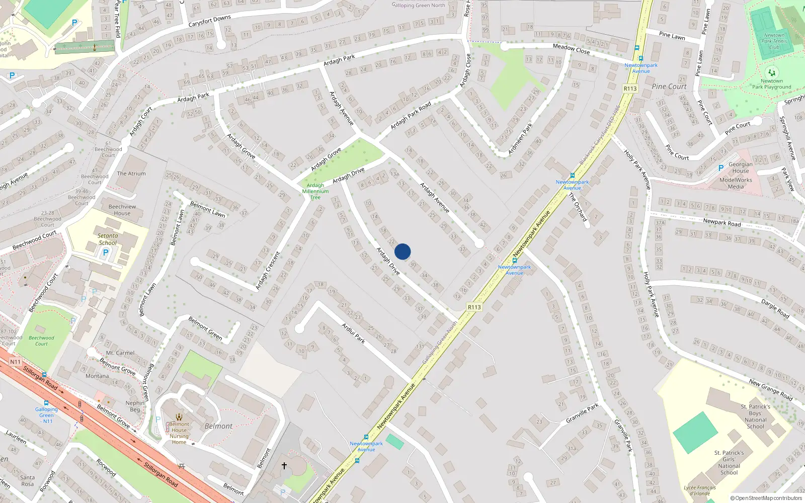 Overhead map showing the location of 26 Ardagh Drive, Blackrock