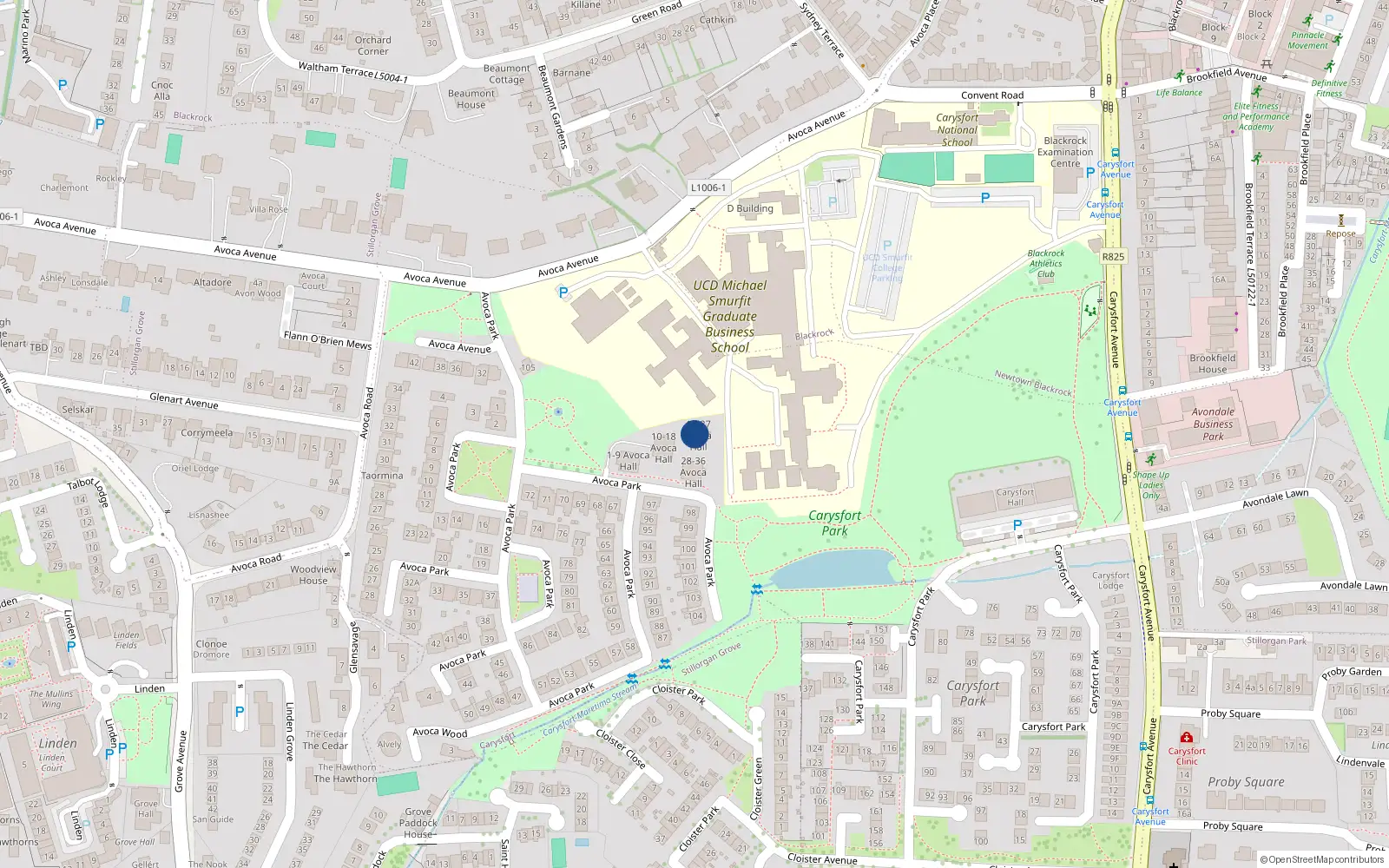 Overhead map showing the location of 26 Avoca Hall, Avoca Park, Blackrock