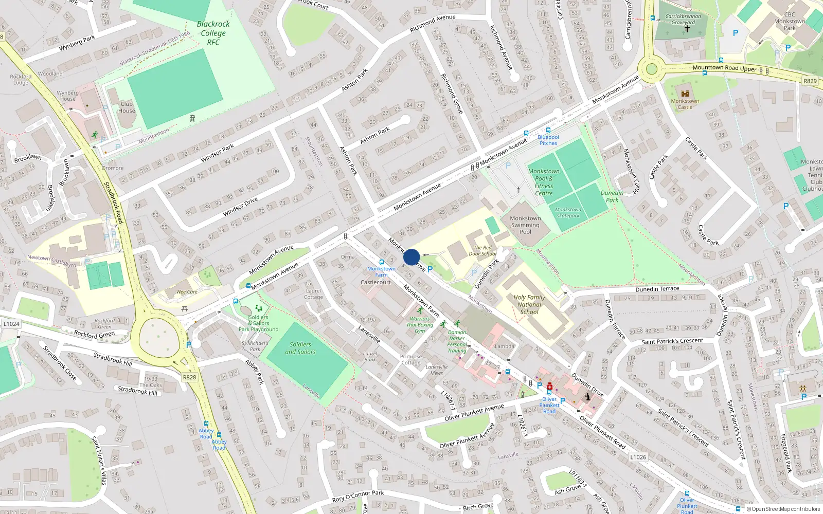 Overhead map showing the location of 26 Monkstown Grove, Monkstown