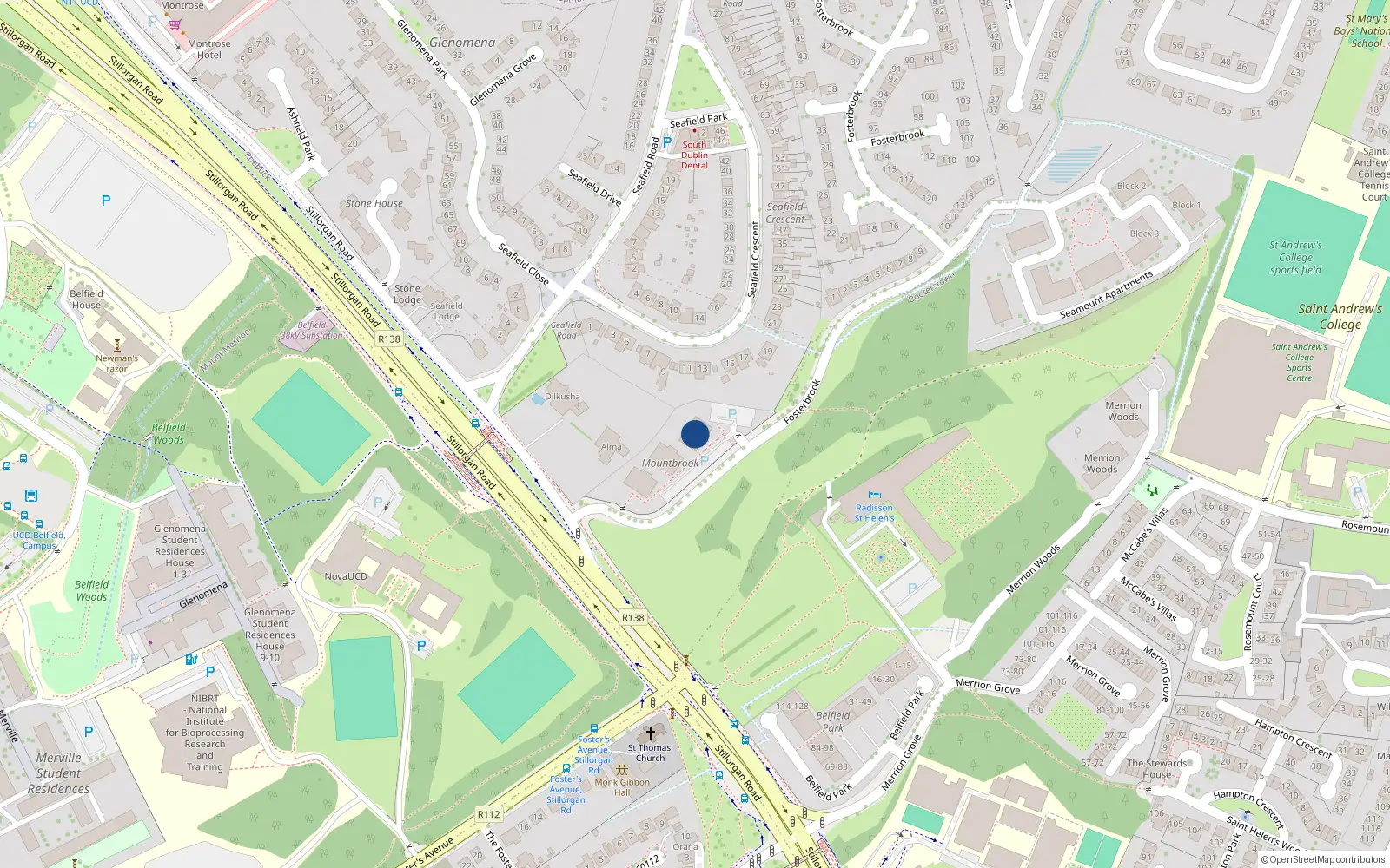 Overhead map showing the location of 26 Mountbrook, Stillorgan Road, Blackrock