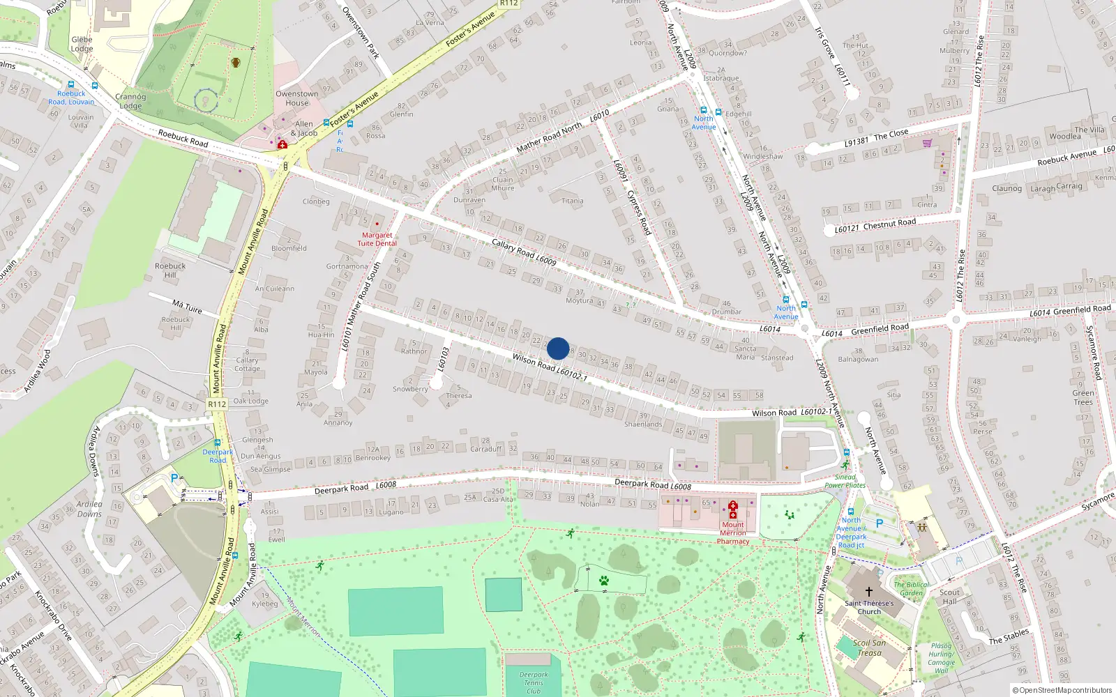 Overhead map showing the location of 26 Wilson Road, Mount Merrion, Blackrock