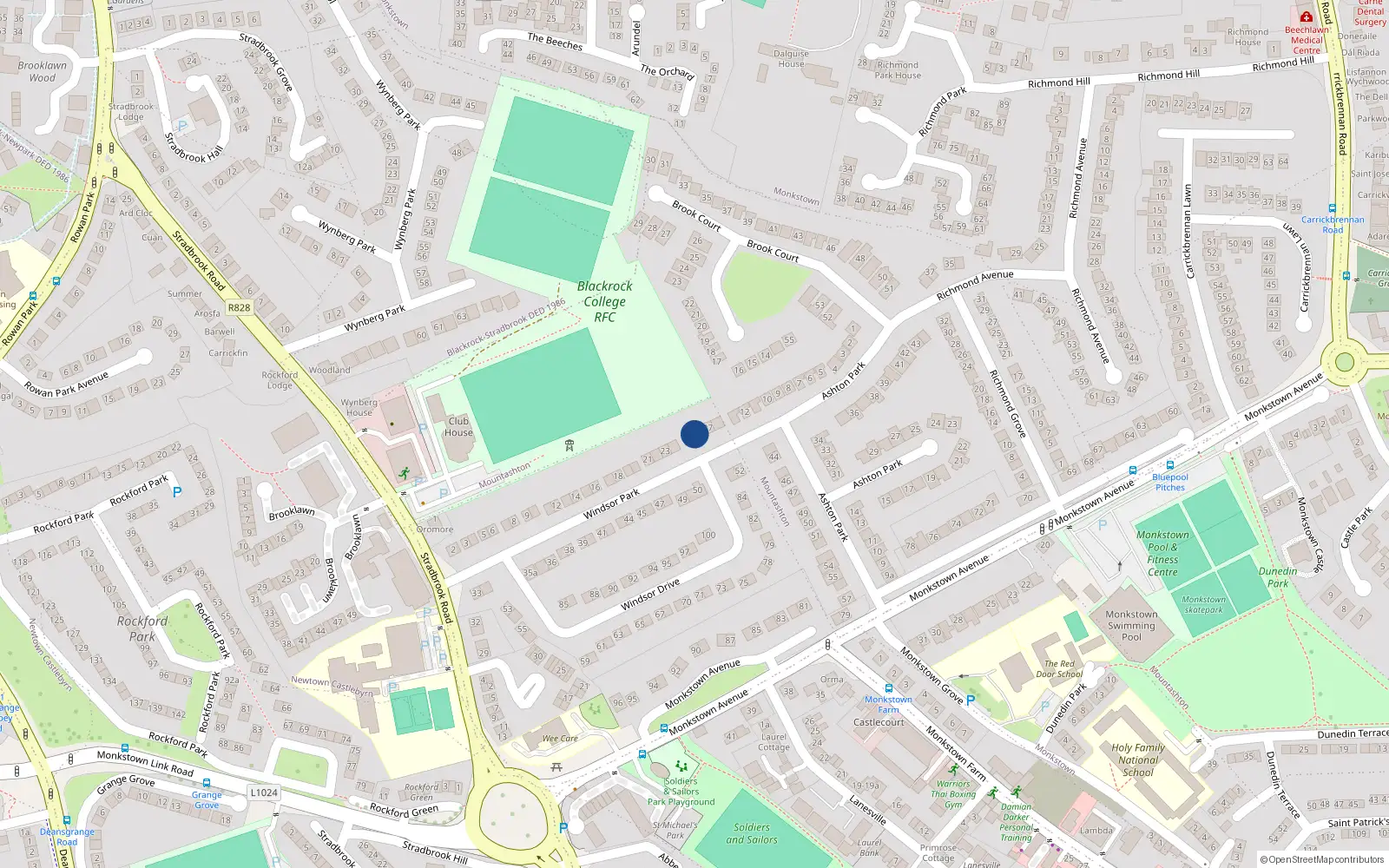 Overhead map showing the location of 26 Windsor Park, Monkstown