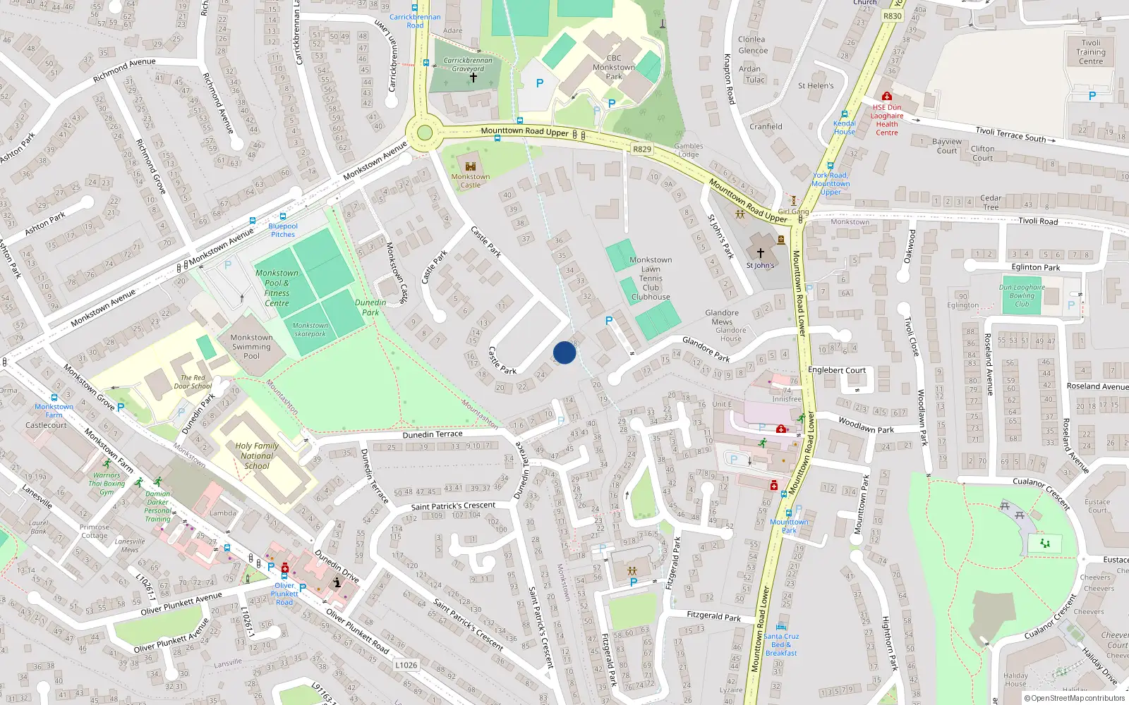Overhead map showing the location of 27 Castle Park, Monkstown