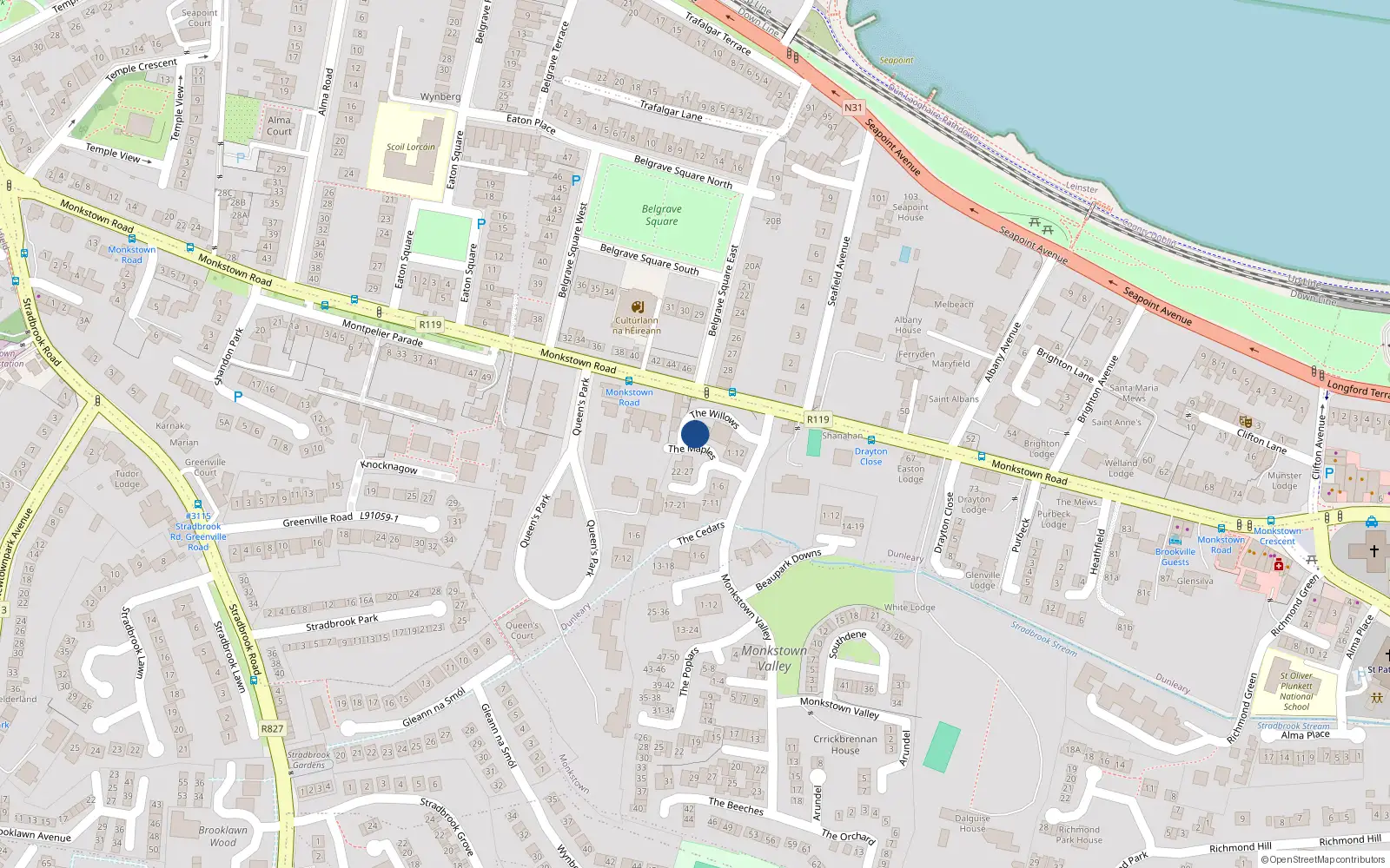 Overhead map showing the location of 27 the Willows, Monkstown Valley, Monkstown