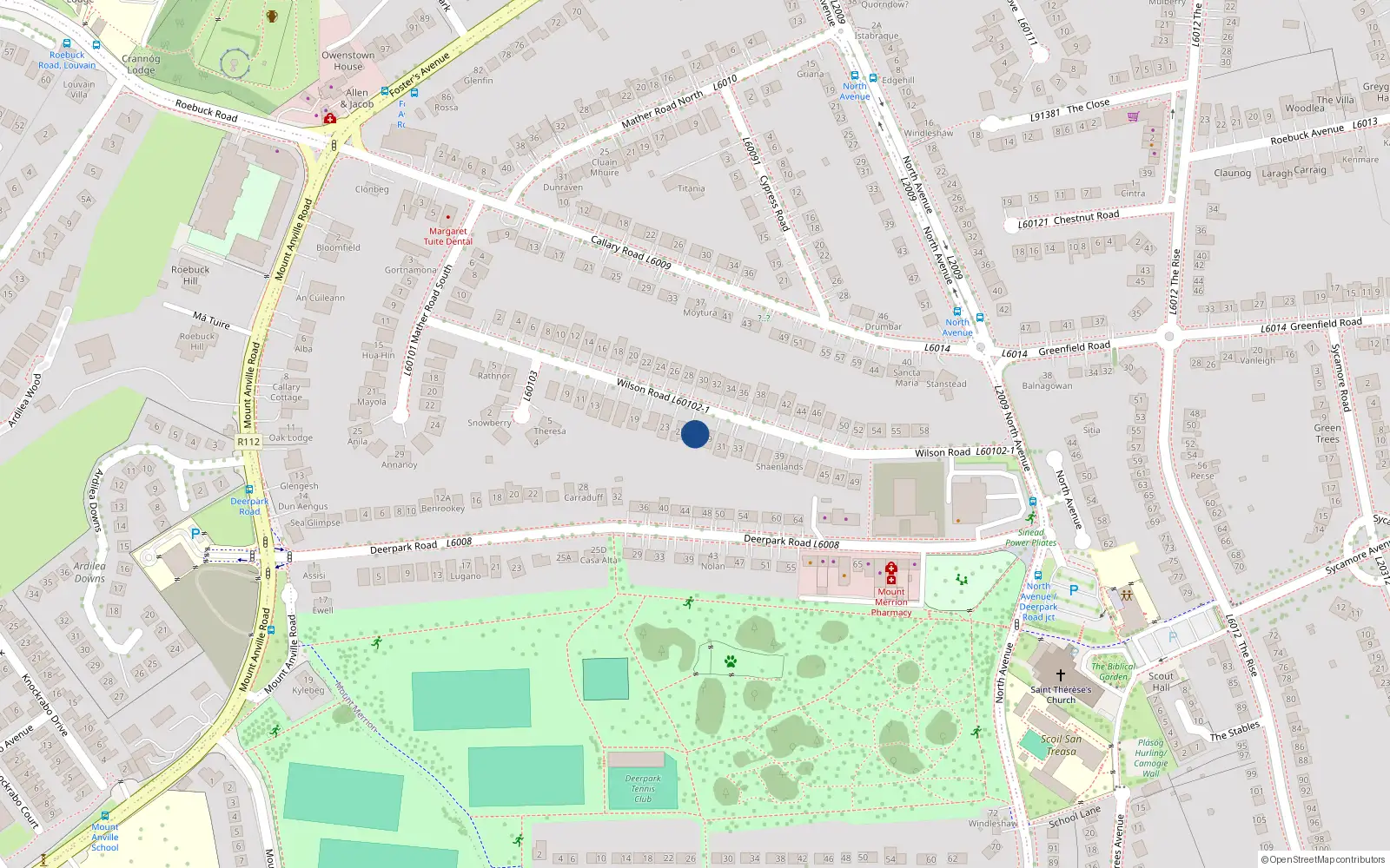 Overhead map showing the location of 27 Wilson Road, Blackrock