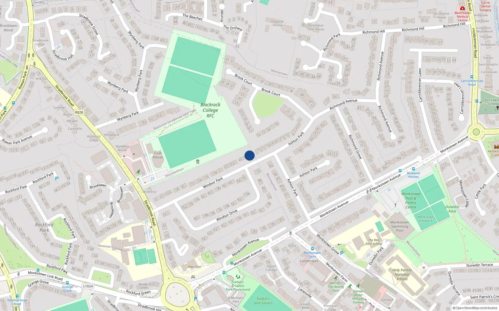 Overhead map showing the location of 27 Windsor Park, Monkstown