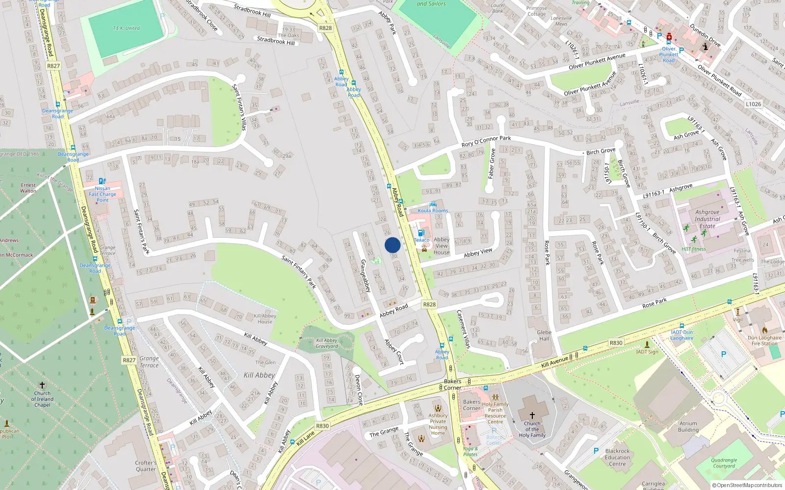 Overhead map showing the location of 28 Abbey Road, Monkstown