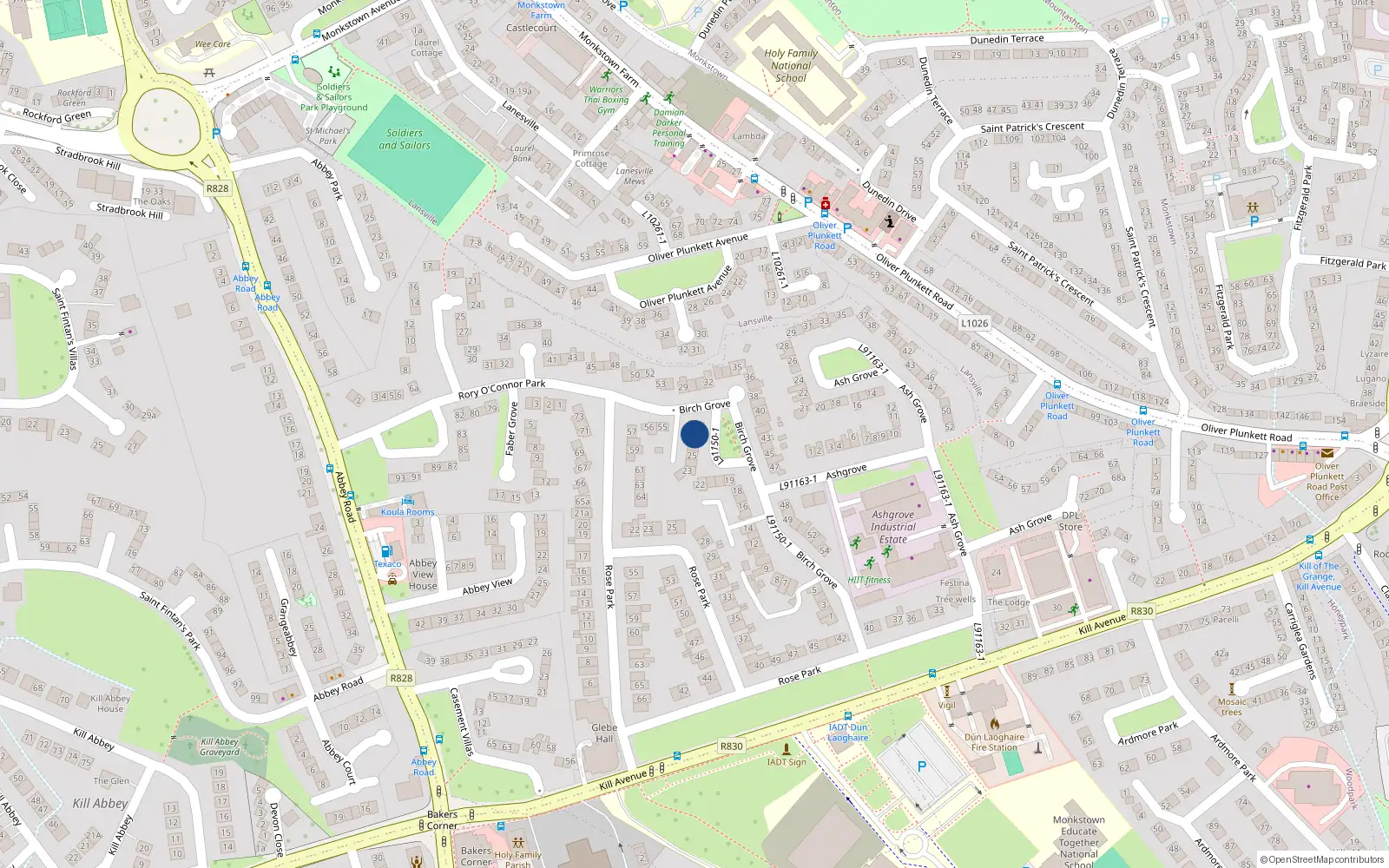 Overhead map showing the location of 28 Birch Grove, Kill Avenue, Dun Laoghaire
