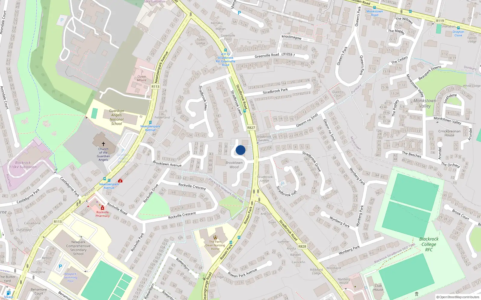 Overhead map showing the location of 28 Brooklawn Wood, Monkstown