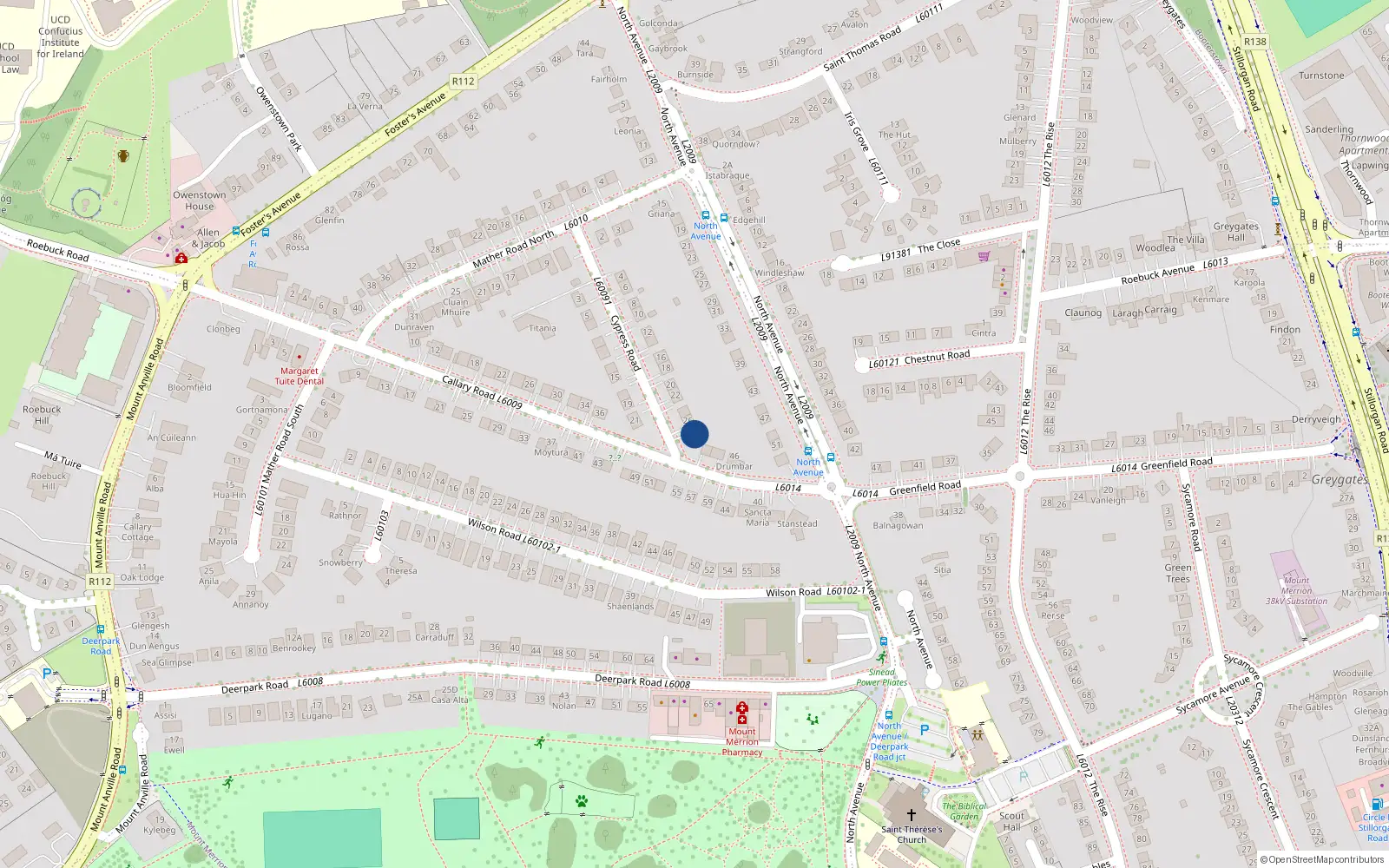 Overhead map showing the location of 28 Cypress Road, Blackrock