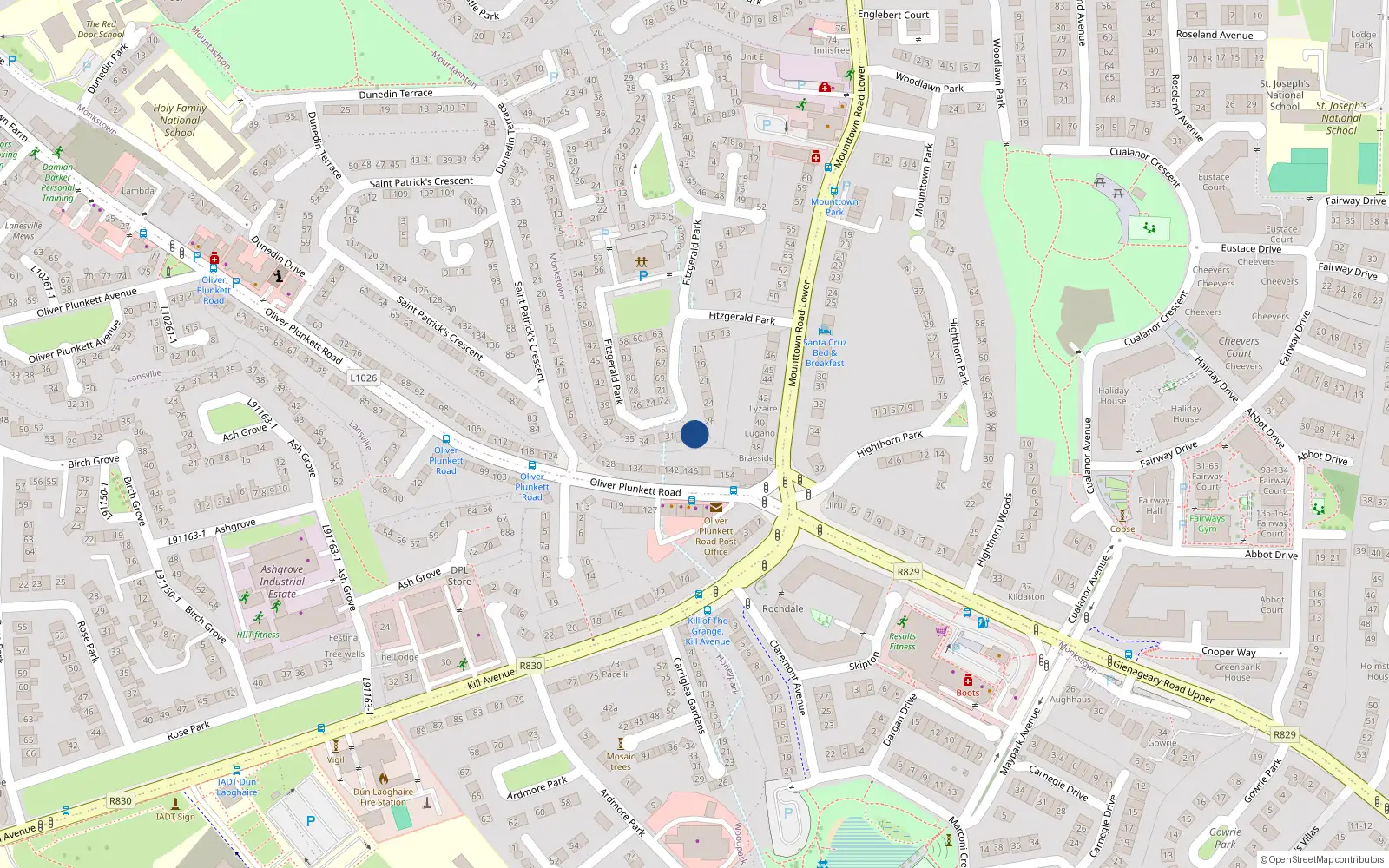 Overhead map showing the location of 28 Fitzgerald Park, Dublin