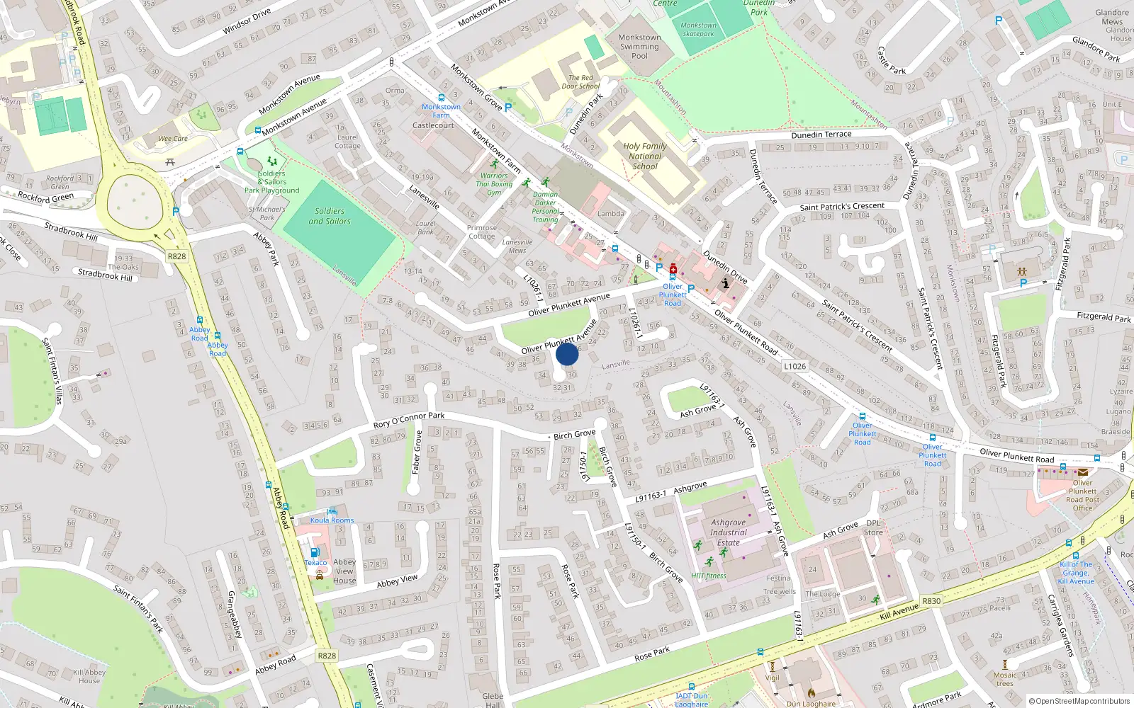 Overhead map showing the location of 28 Oliver Plunkett Avenue, Monkstown