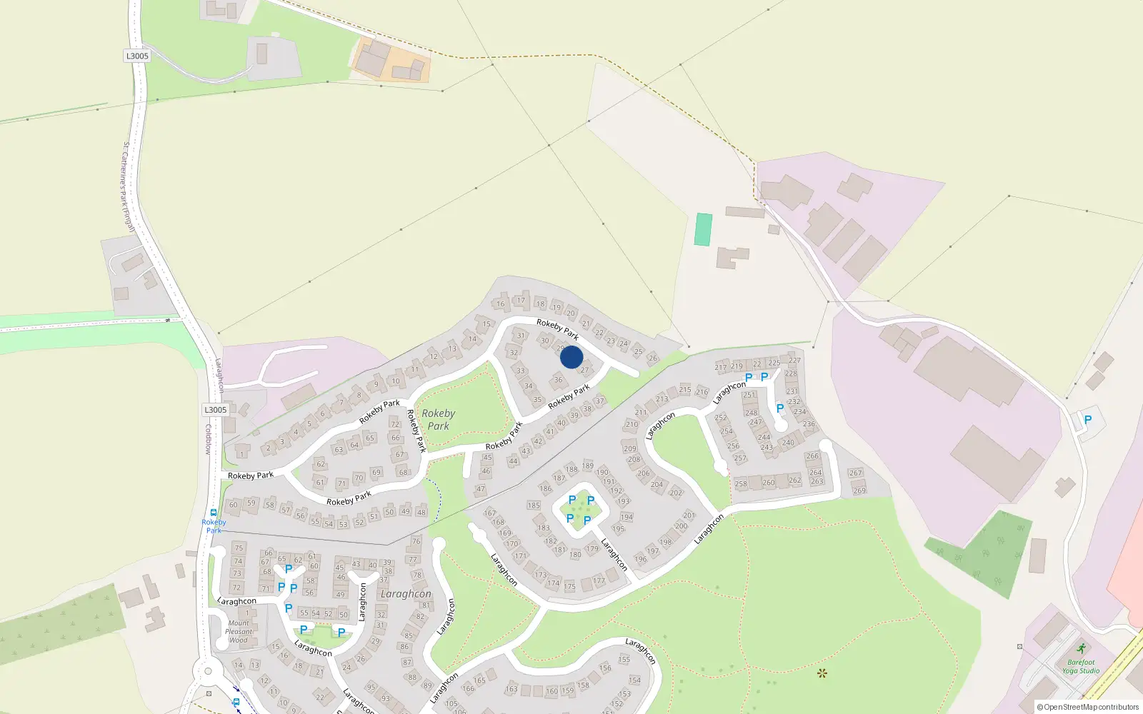 Overhead map showing the location of 28 Rokeby Park, Laraghcon