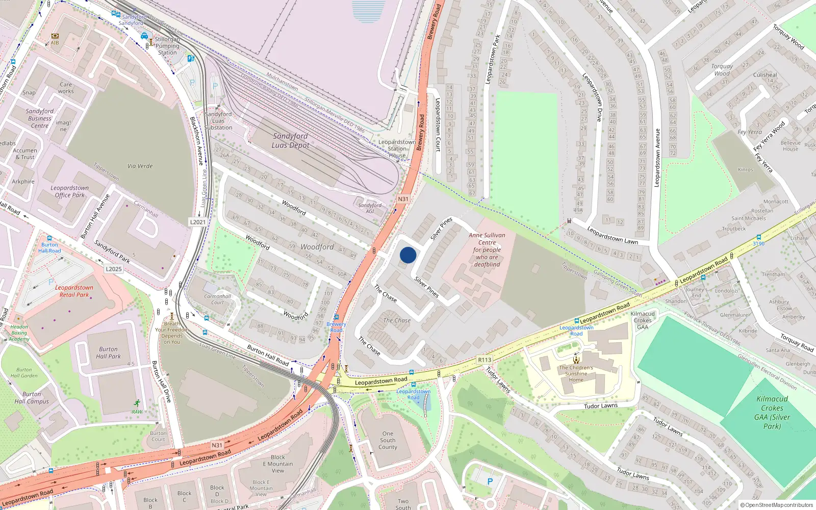 Overhead map showing the location of 28 Silver Pines, Blackrock