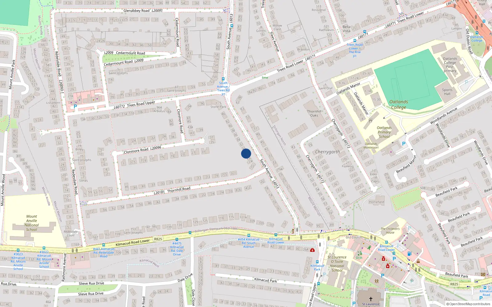 Overhead map showing the location of 28 South Avenue, Mount Merrion, Dublin