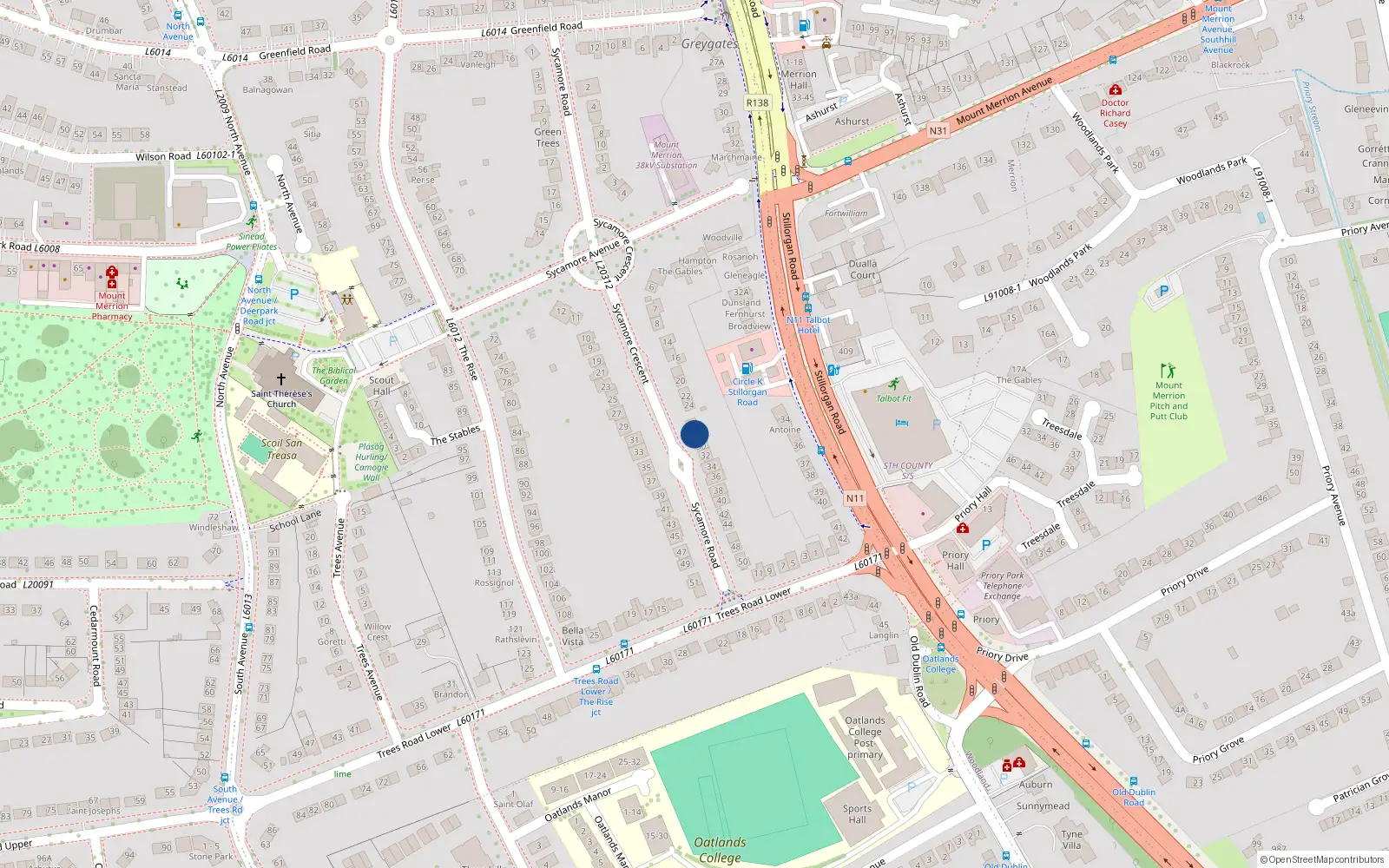 Overhead map showing the location of 28 Sycamore Road, Blackrock