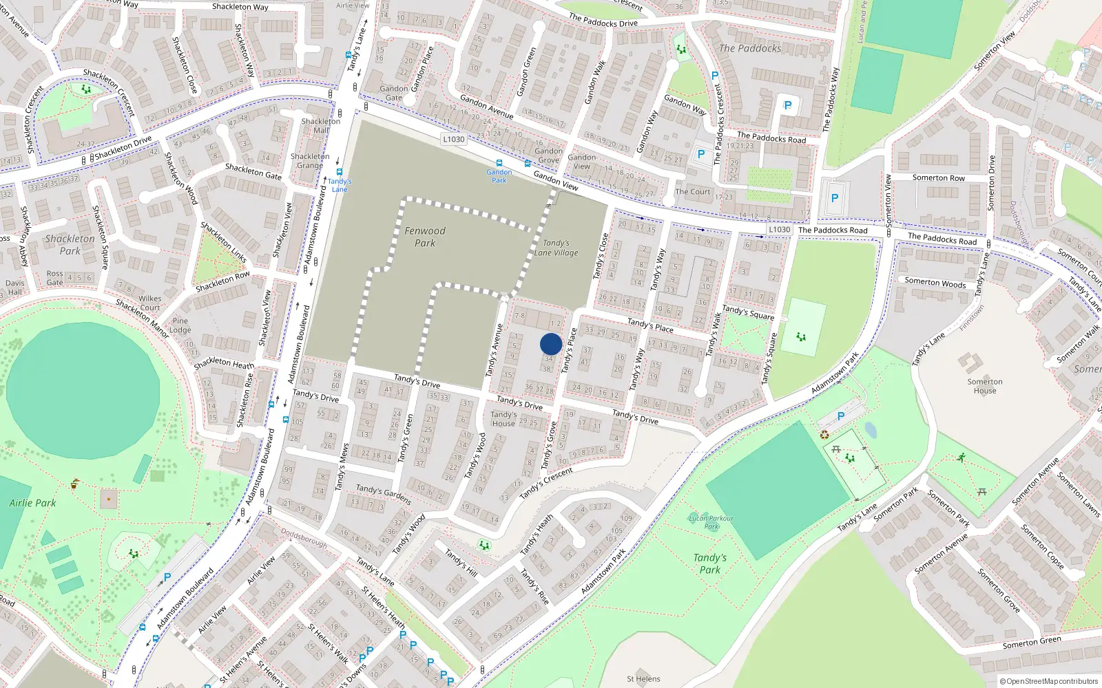 Overhead map showing the location of 28 Tandy's Place, Lucan