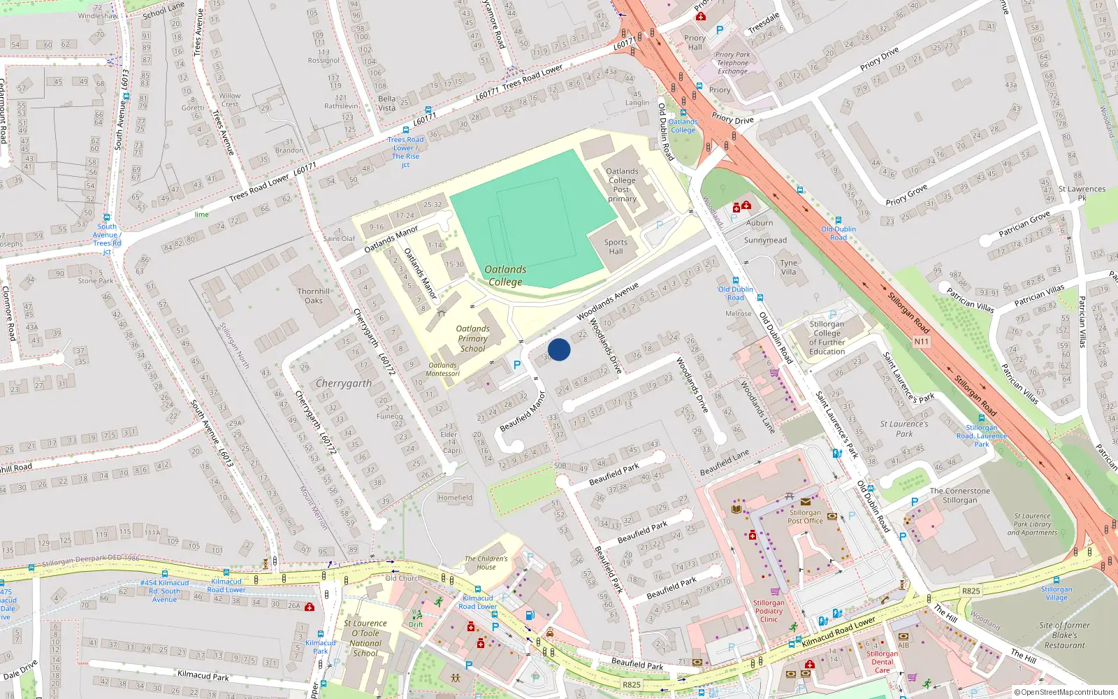 Overhead map showing the location of 28 Woodlands Avenue, Dublin