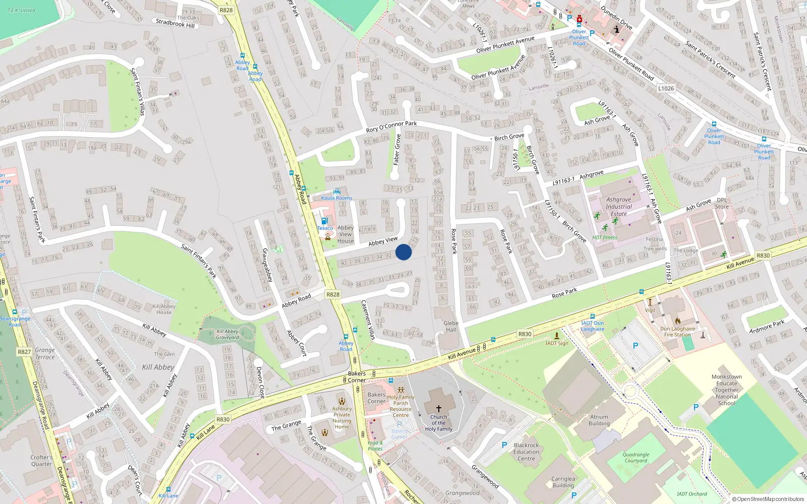 Overhead map showing the location of 29 Abbey View, Blackrock