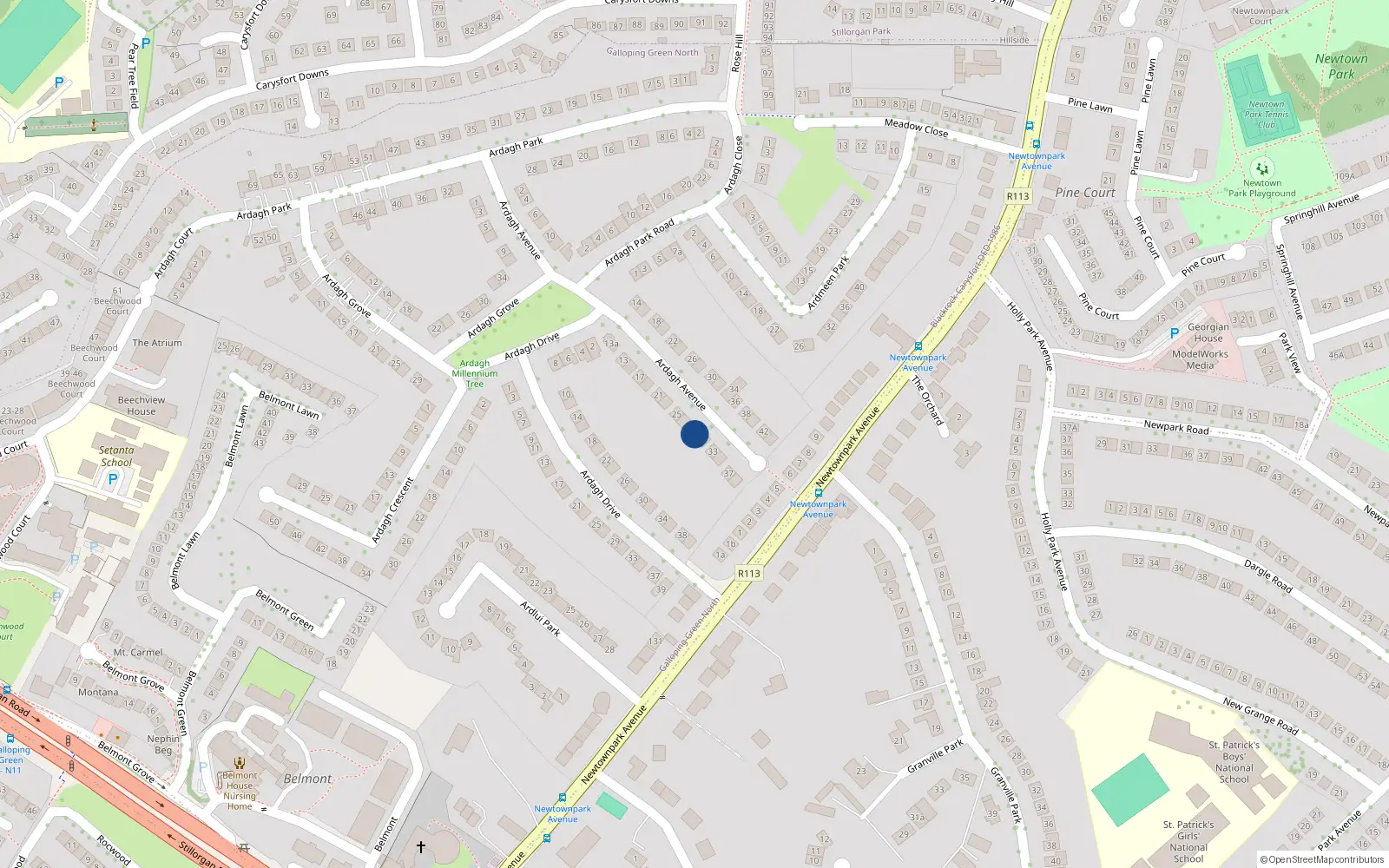 Overhead map showing the location of 29 Ardagh Avenue, Blackrock, Dublin