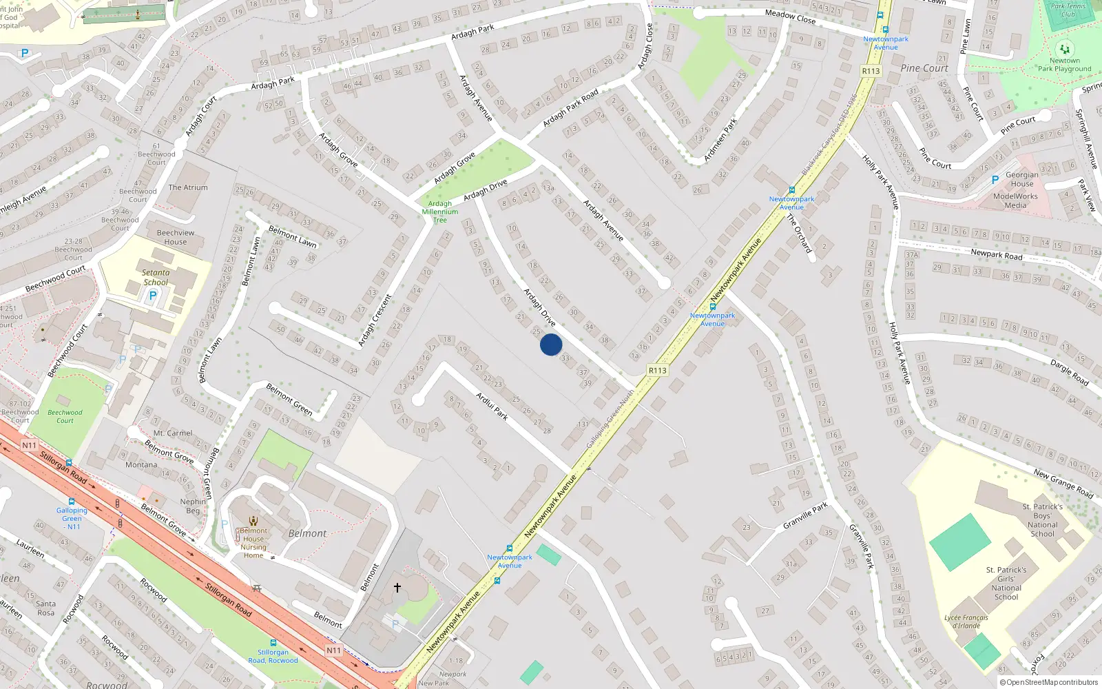 Overhead map showing the location of 29 Ardagh Drive, Blackrock