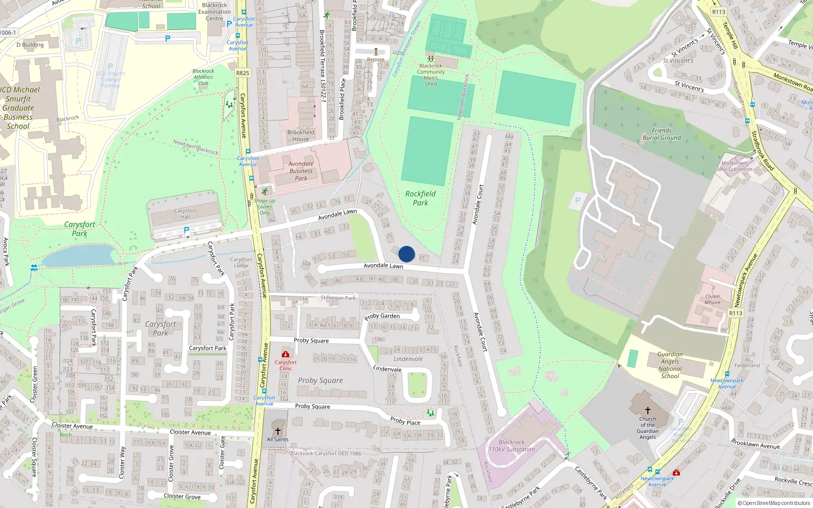 Overhead map showing the location of 29 Avondale Lawn, Blackrock