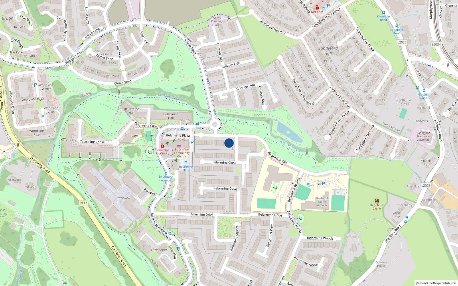 Overhead map showing the location of 29 Belarmine Vale, Stepaside
