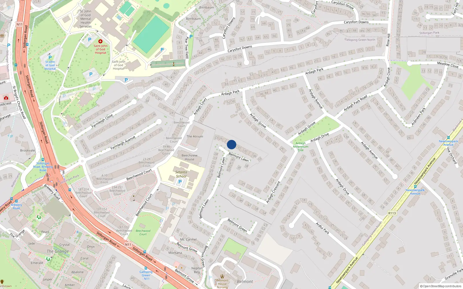 Overhead map showing the location of 29 Belmont Lawn, Stillorgan Road, Blackrock