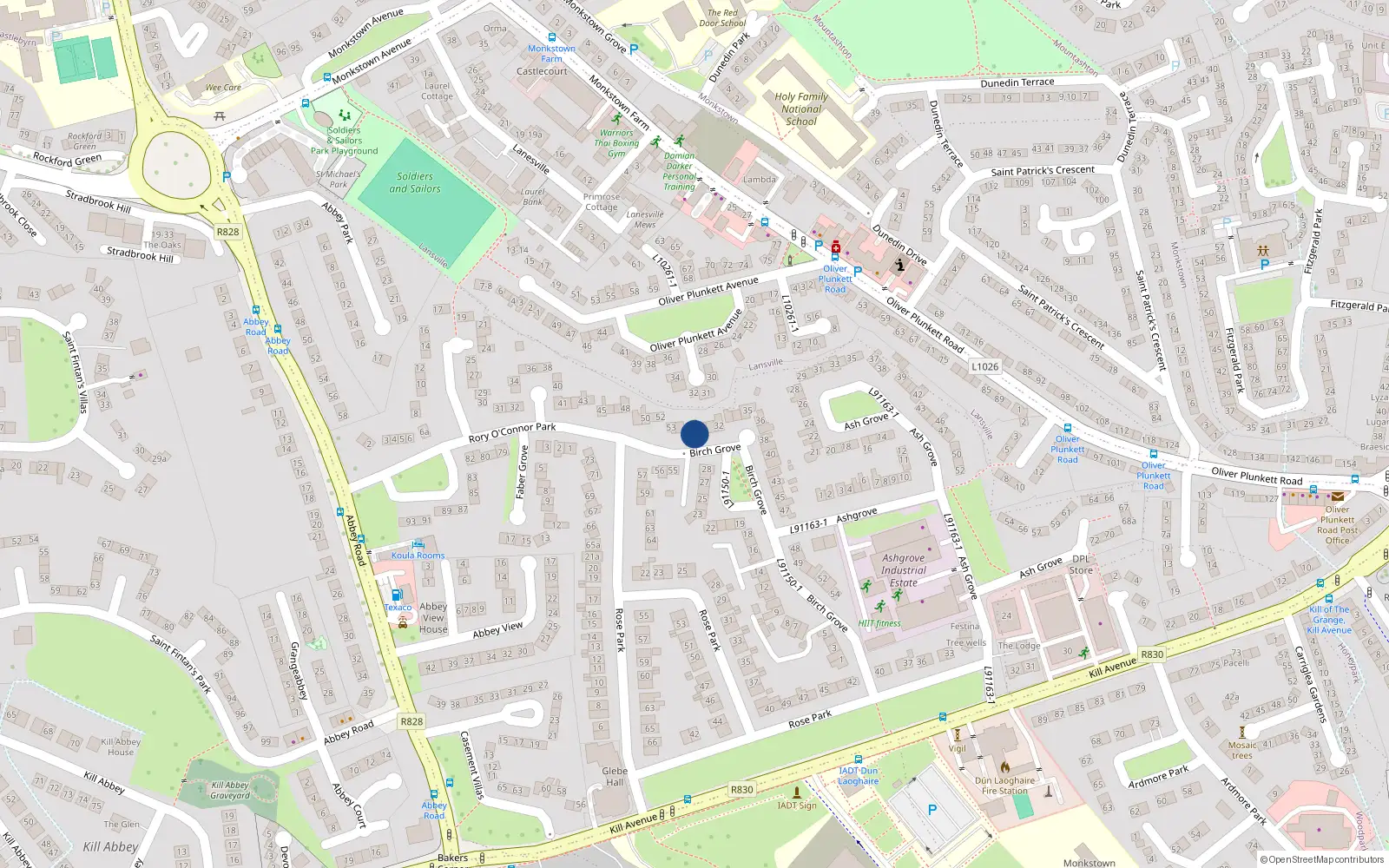Overhead map showing the location of 29 Birch Grove, Kill Avenue, Dun Laoghaire