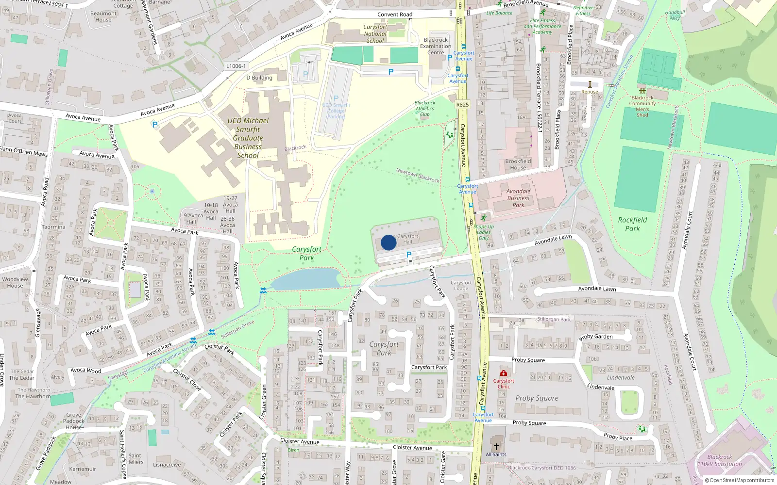 Overhead map showing the location of 29 Carysfort Hall, Carysfort Park, Blackrock