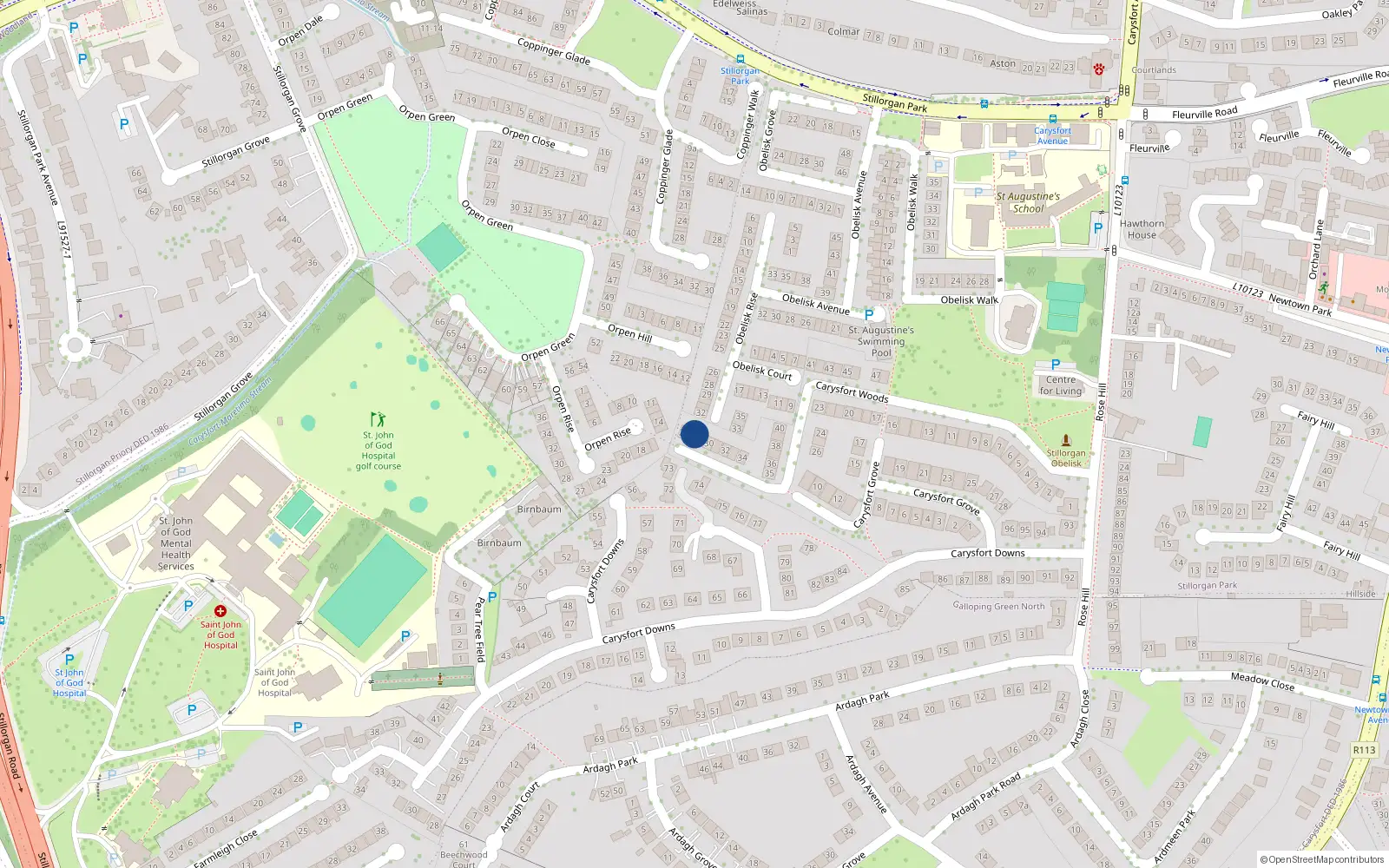 Overhead map showing the location of 29 Carysfort Woods, Blackrock