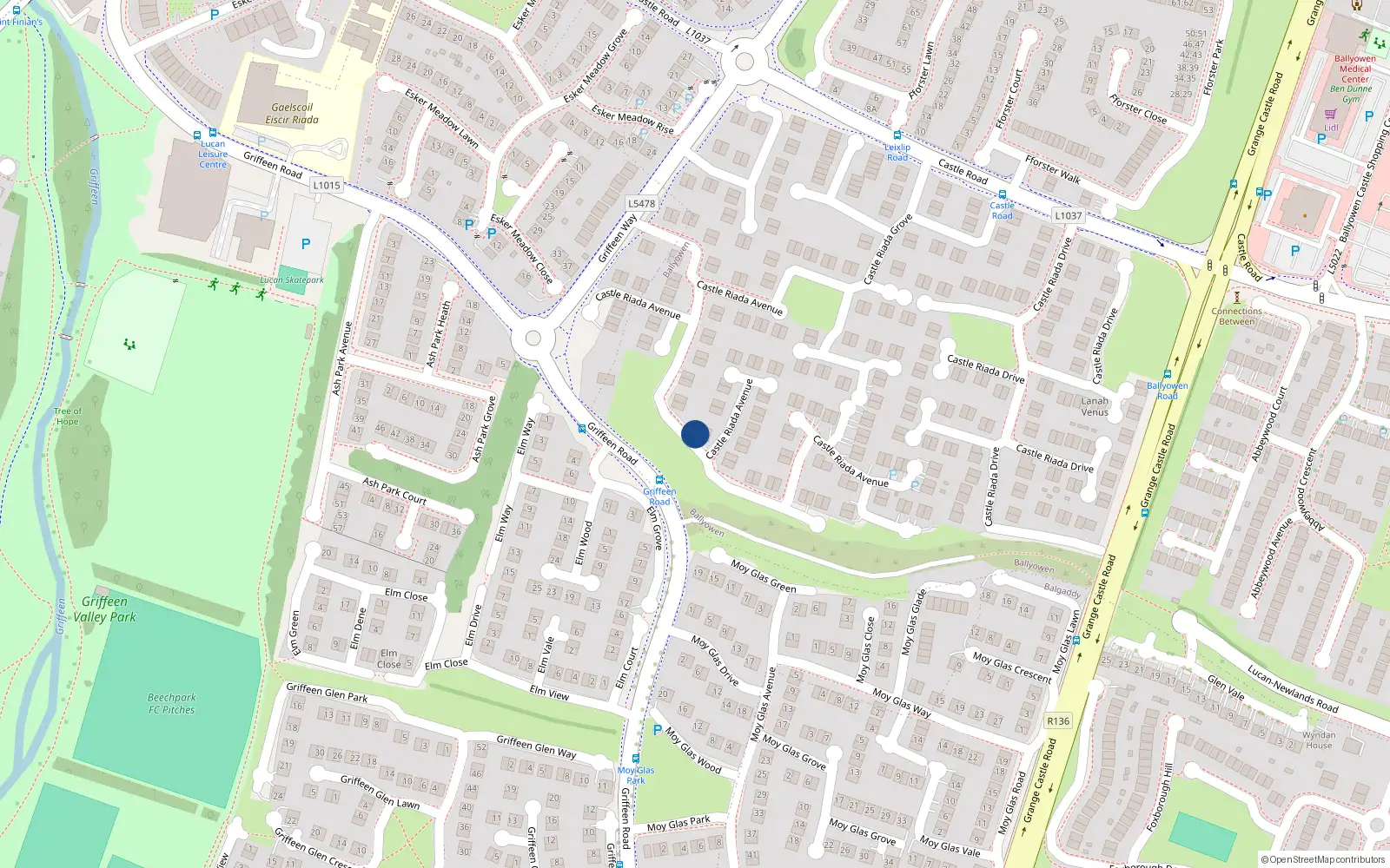 Overhead map showing the location of 29 Castle Riada Avenue, Lucan