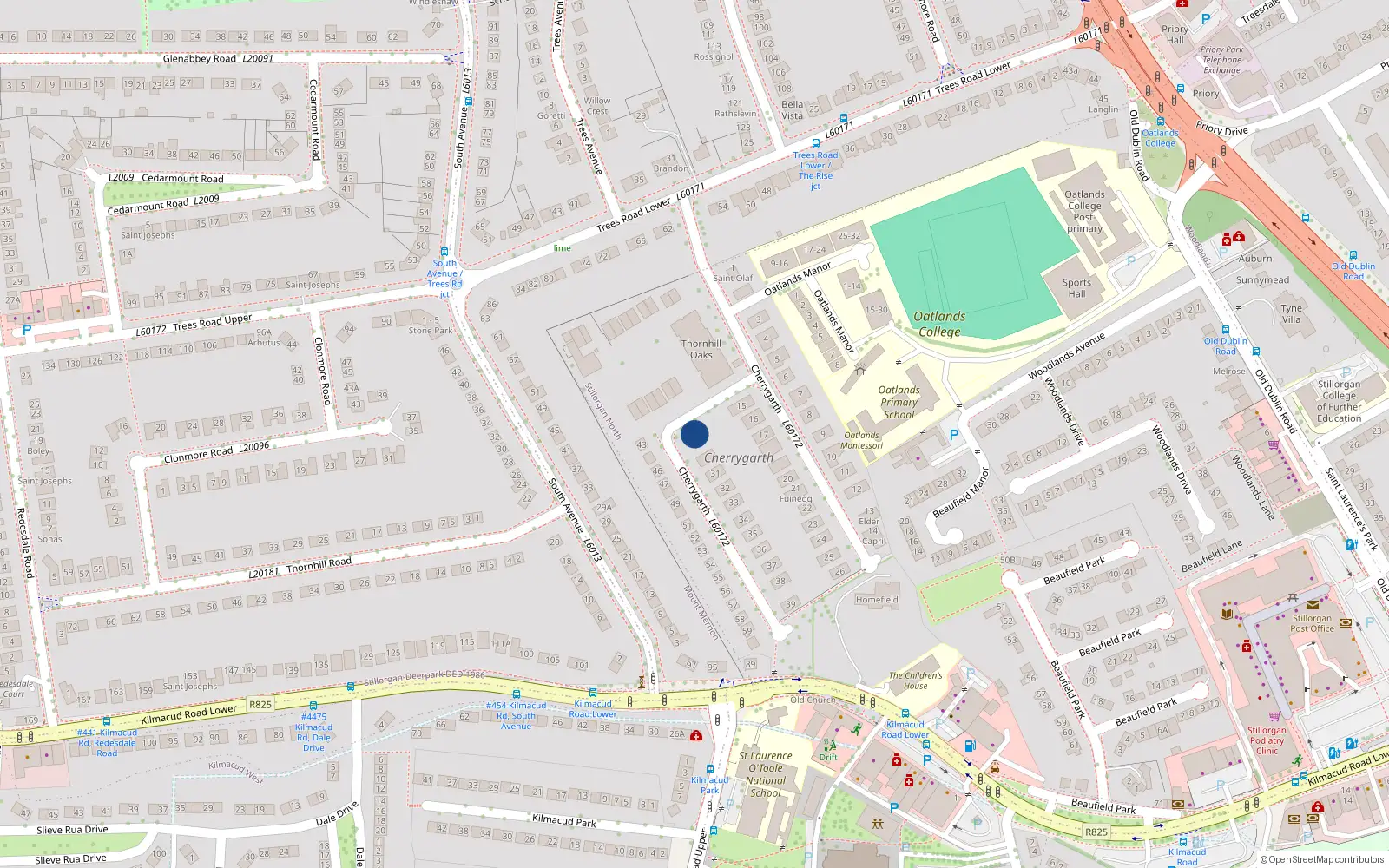 Overhead map showing the location of 29 Cherrygarth, Blackrock