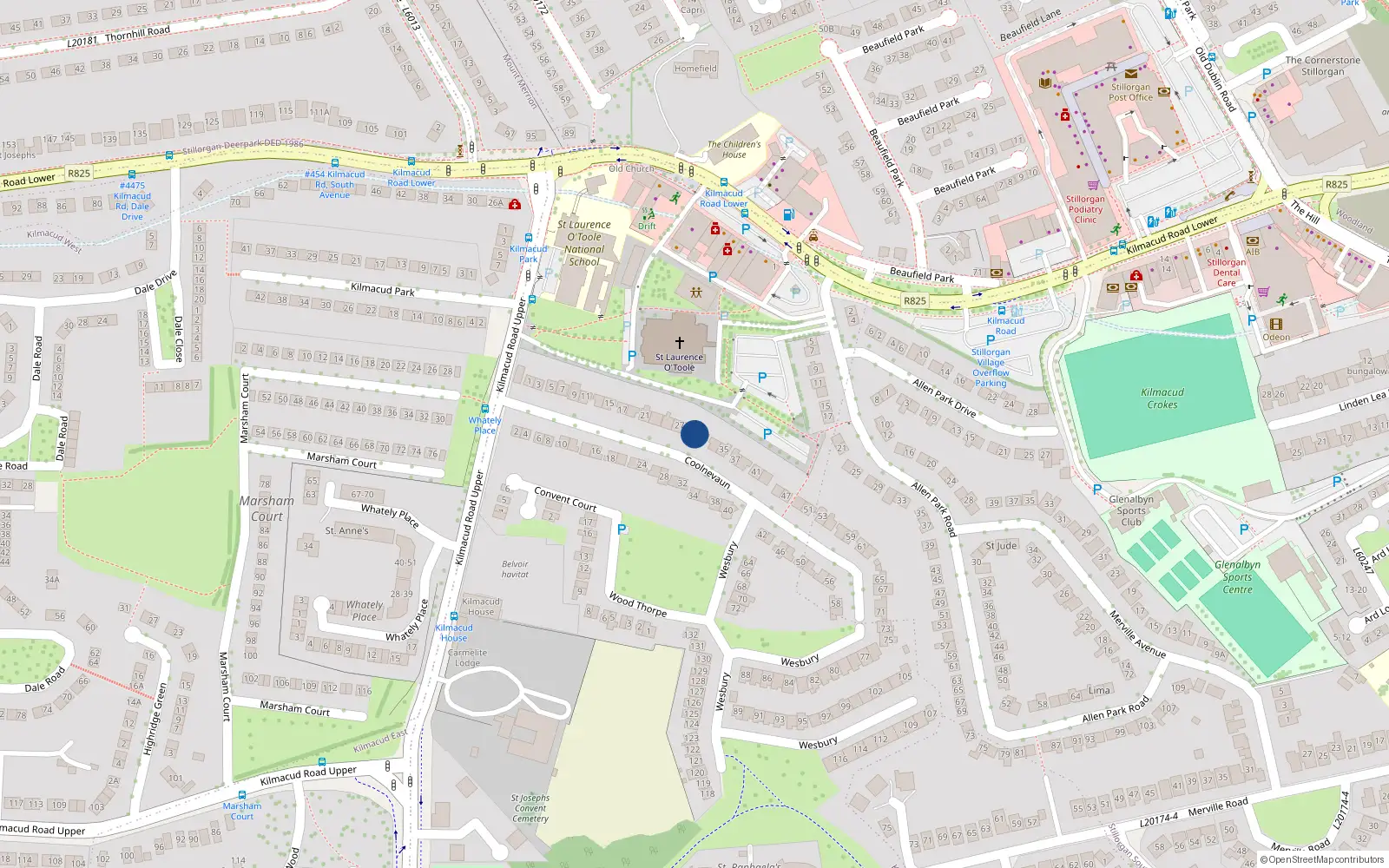 Overhead map showing the location of 29 Coolnevaun, Blackrock