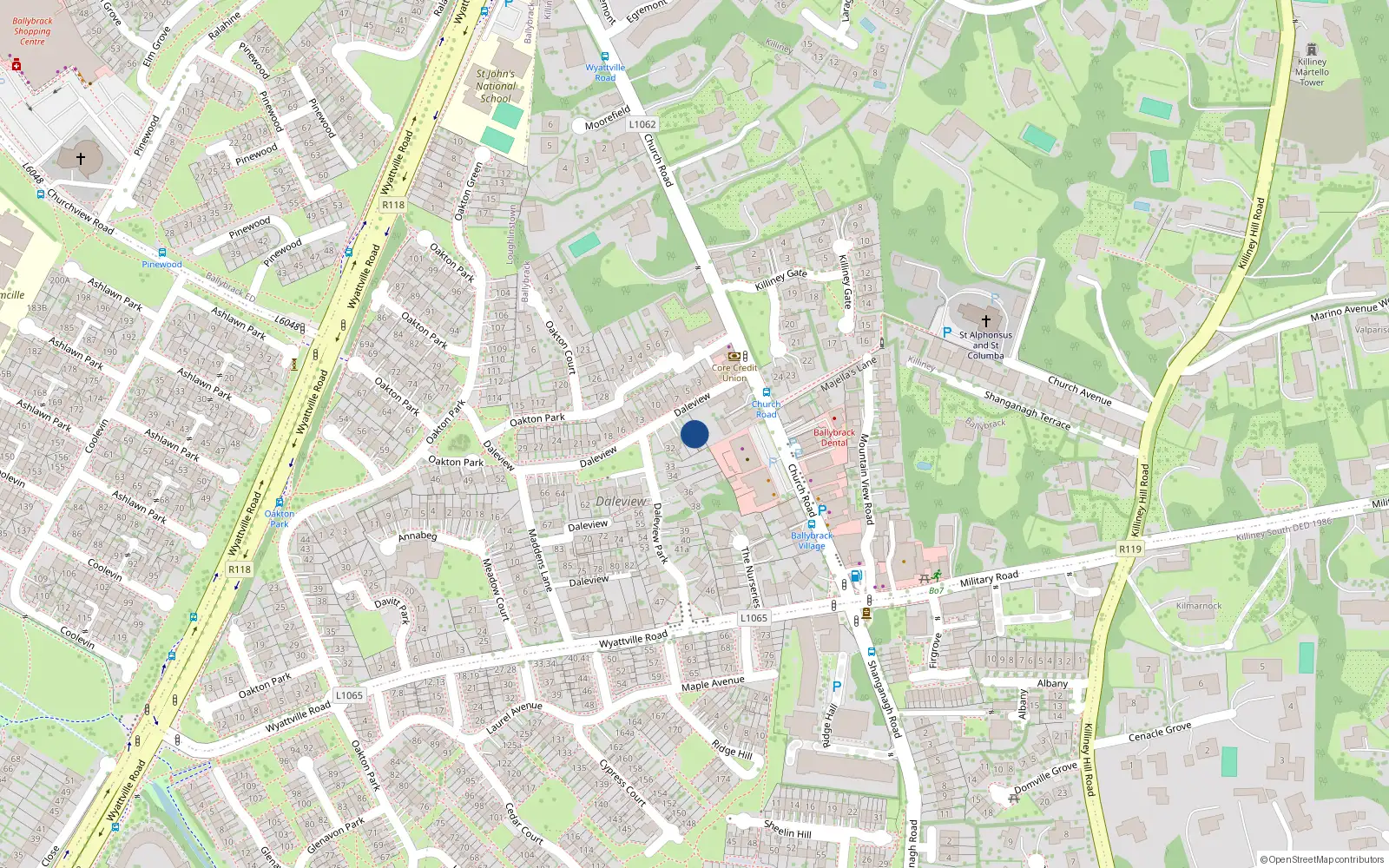 Overhead map showing the location of 29 Dale View, Ballybrack