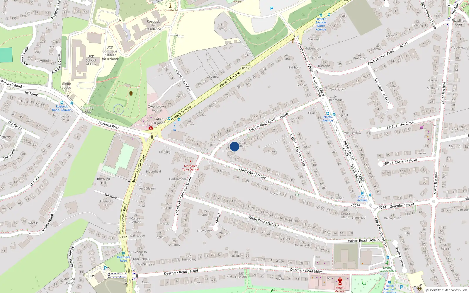 Overhead map showing the location of 29 Mather Road North, Blackrock