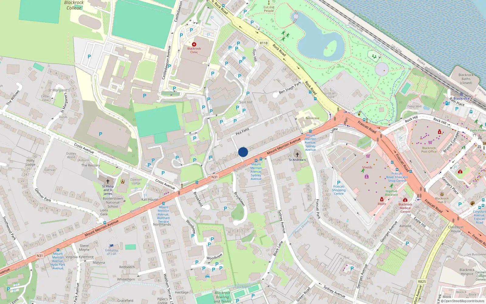 Overhead map showing the location of 29 Mount Merrion Avenue, Blackrock