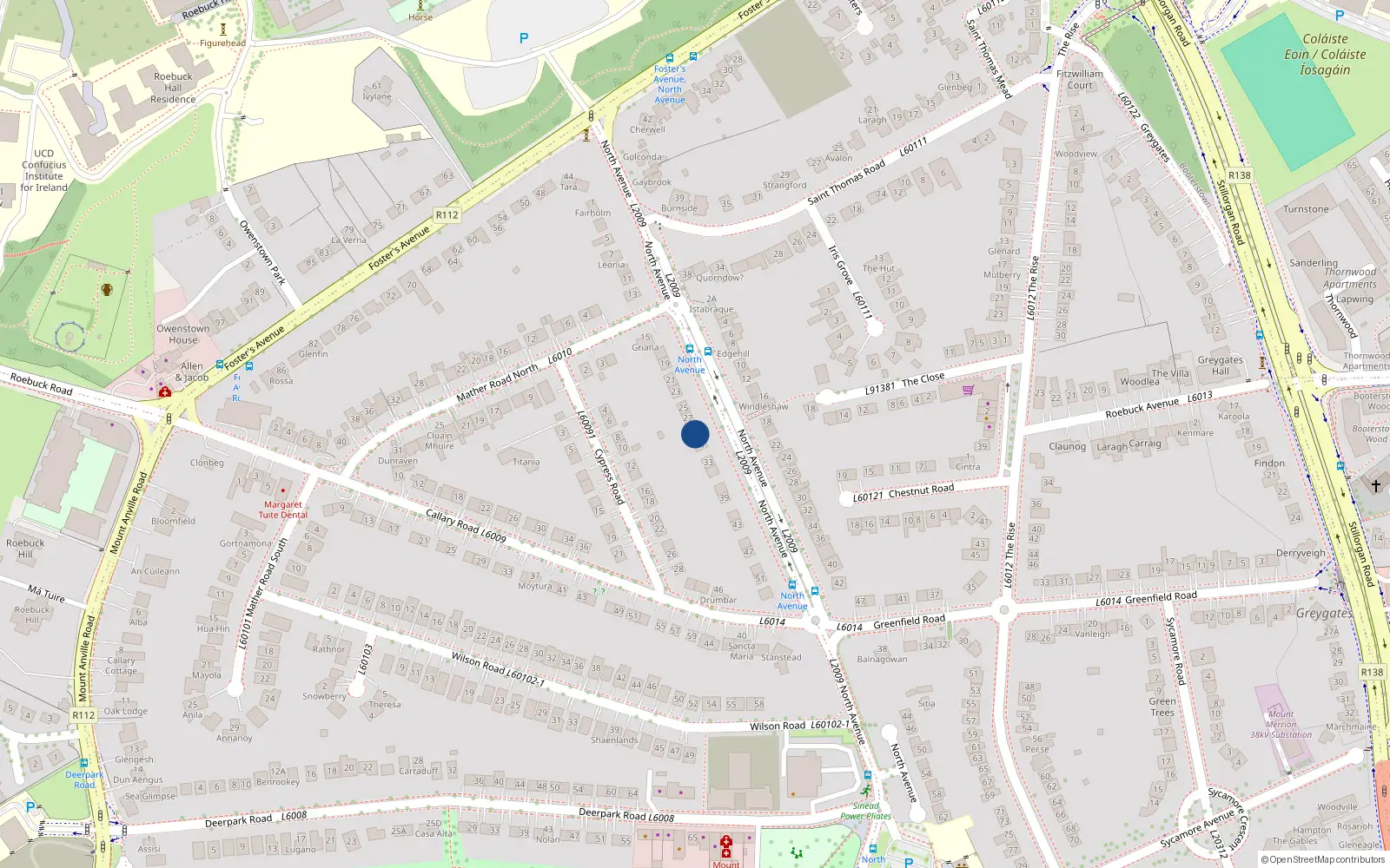 Overhead map showing the location of 29 North Avenue, Mount Merrion, Dublin