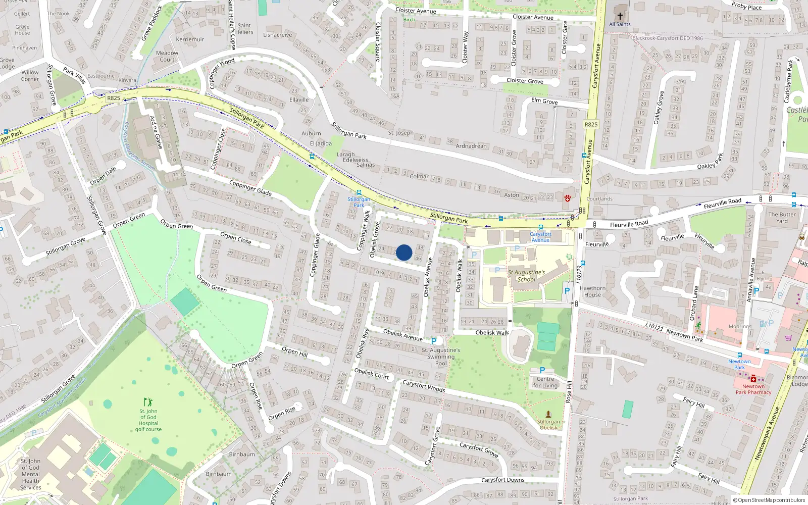 Overhead map showing the location of 29 Obelisk Grove, Blackrock