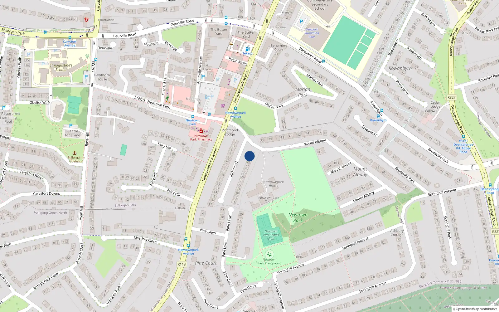 Overhead map showing the location of 29 Richmond, Blackrock