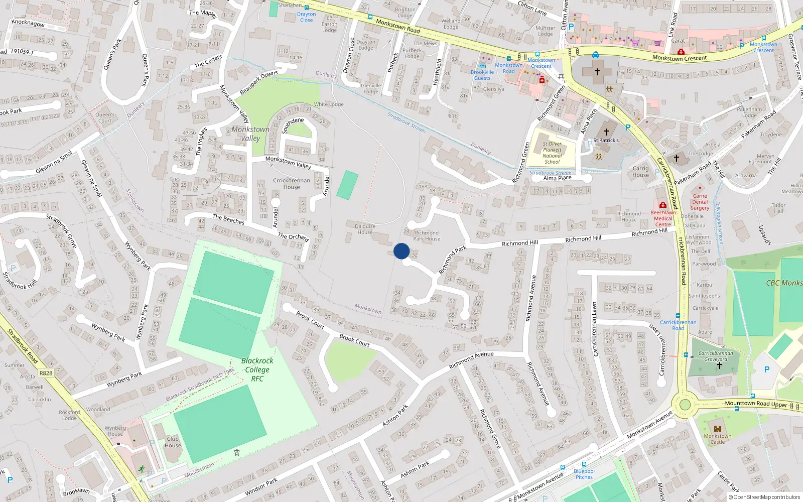 Overhead map showing the location of 29 Richmond Park, Dublin