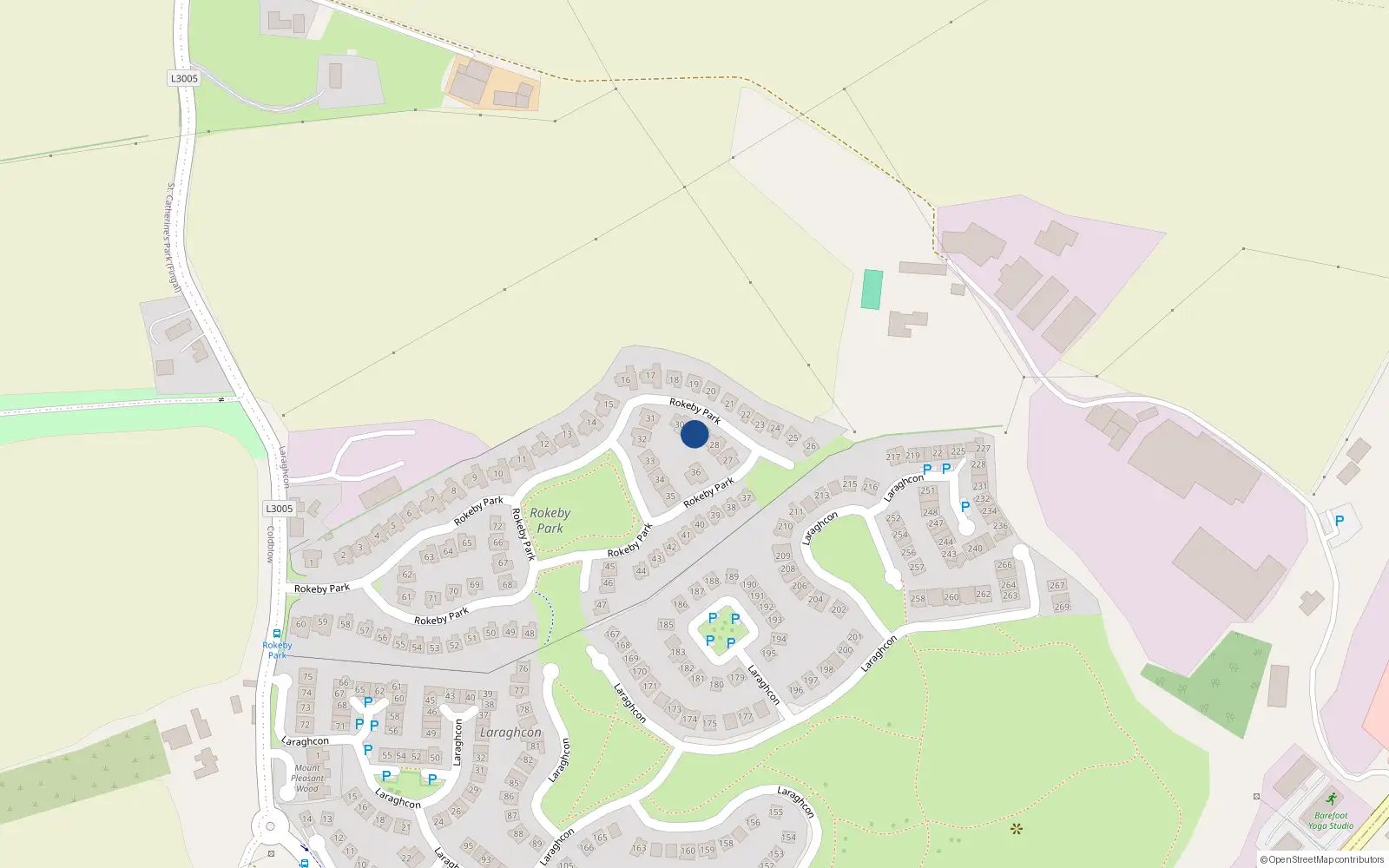 Overhead map showing the location of 29 Rokeby Park, Lucan