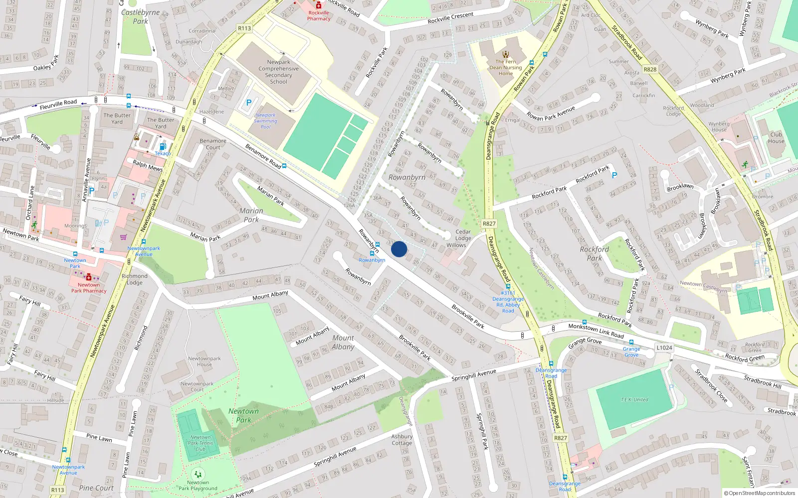 Overhead map showing the location of 29 Rowanbyrn, Blackrock