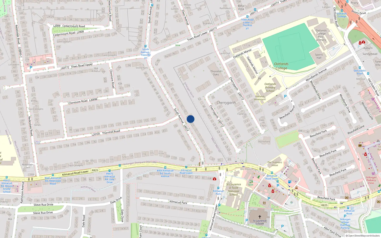 Overhead map showing the location of 29 South Avenue, Blackrock