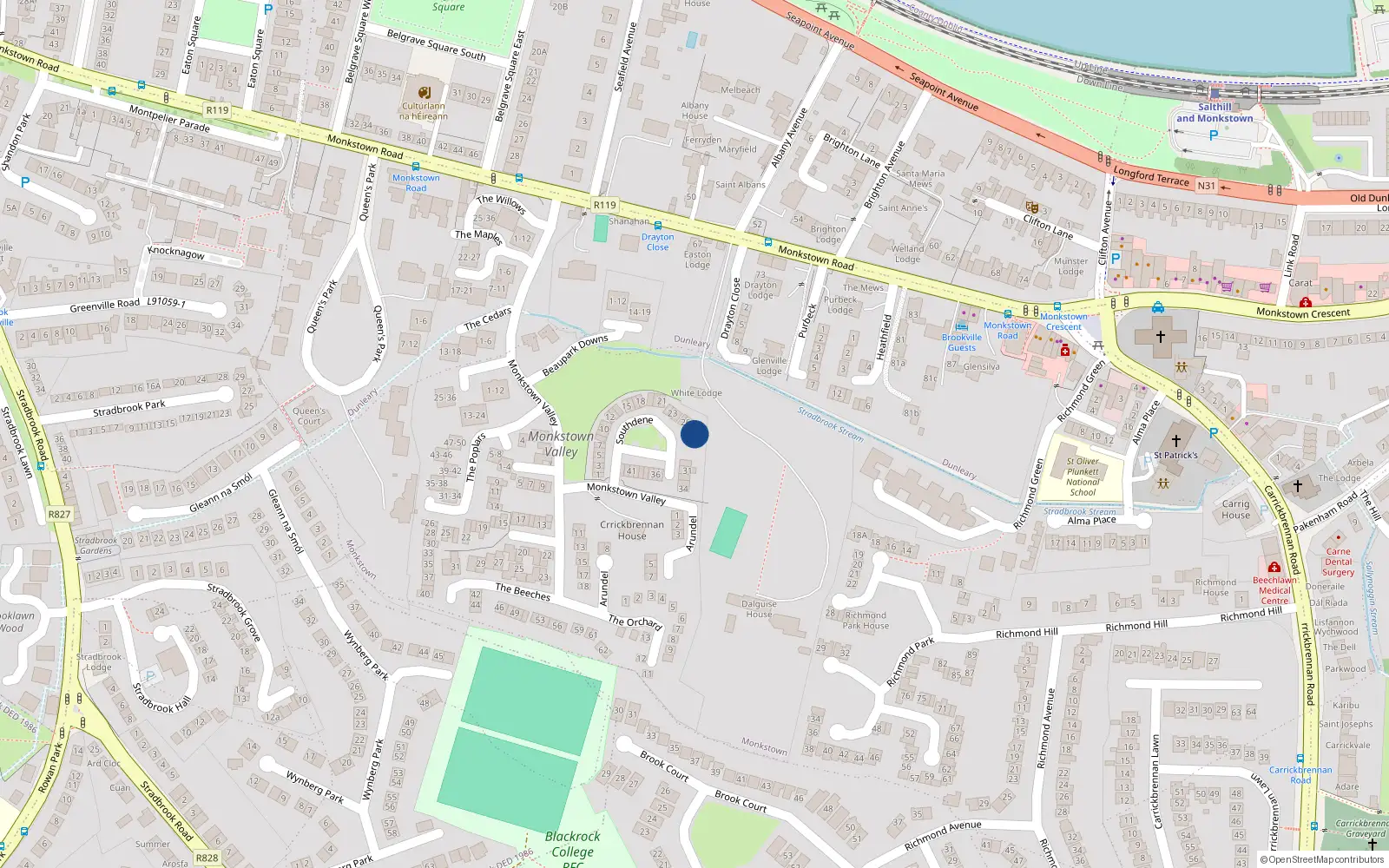 Overhead map showing the location of 29 Southdene, Monkstown