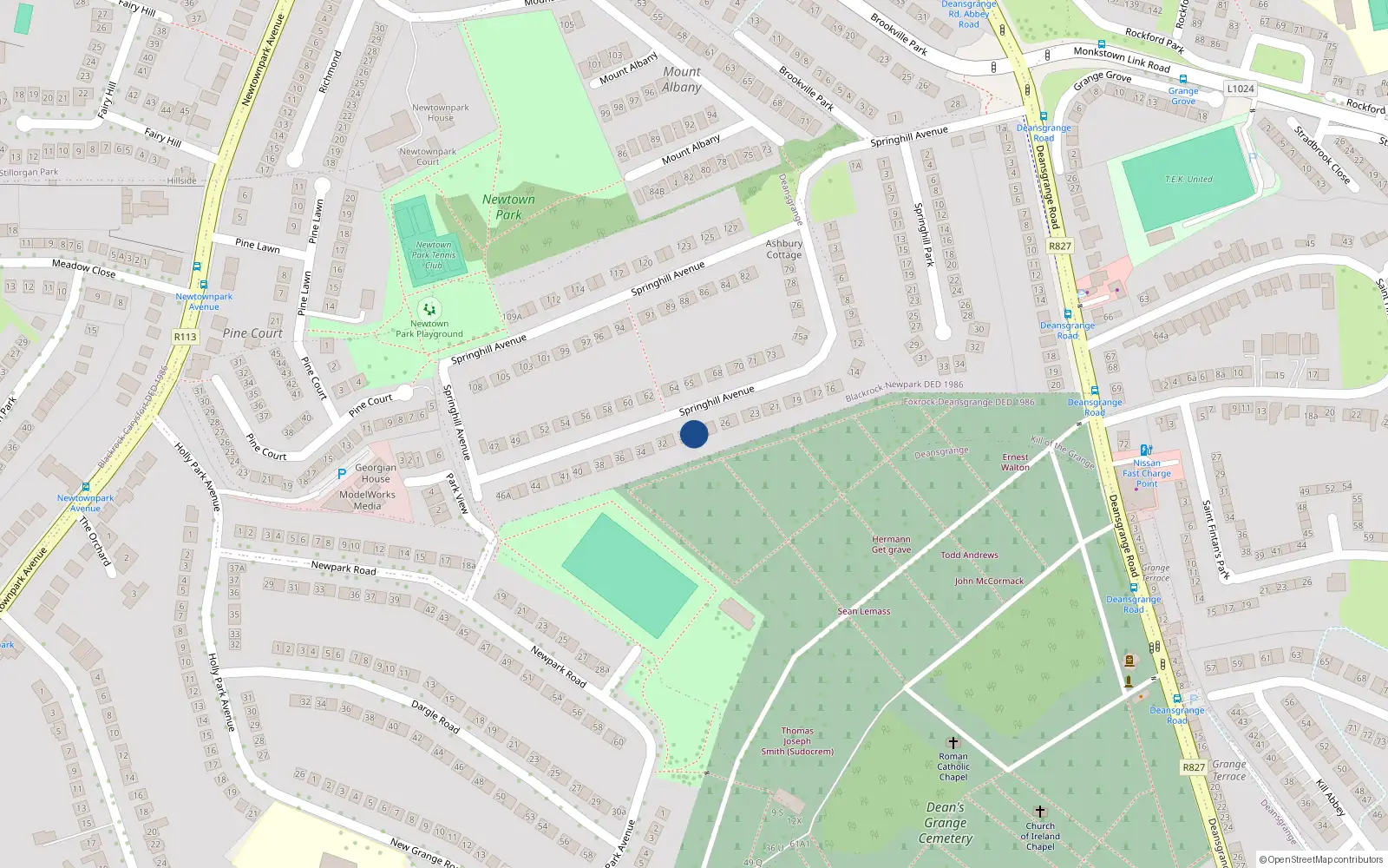 Overhead map showing the location of 29 Springhill Avenue, Blackrock