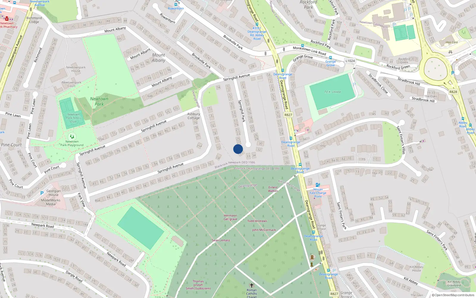 Overhead map showing the location of 29 Springhill Park, Blackrock, Dublin