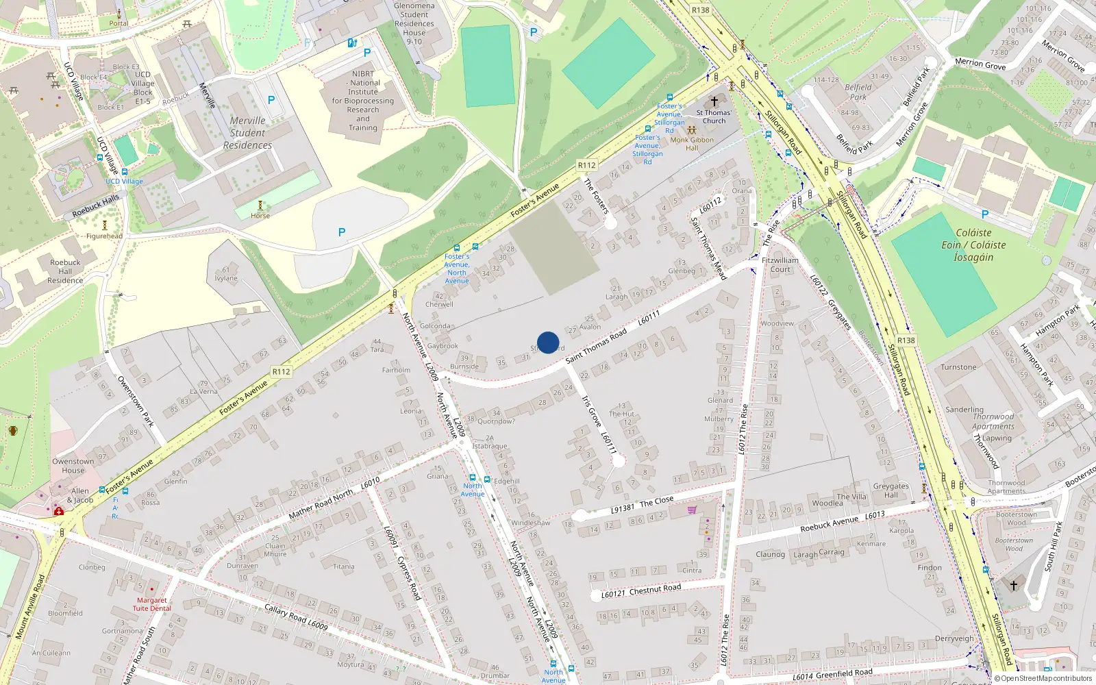 Overhead map showing the location of 29 St. Thomas Road, Mount Merrion